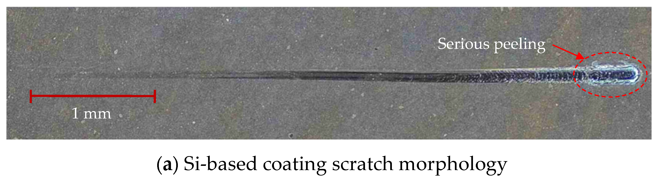 Coatings 14 01255 g020a