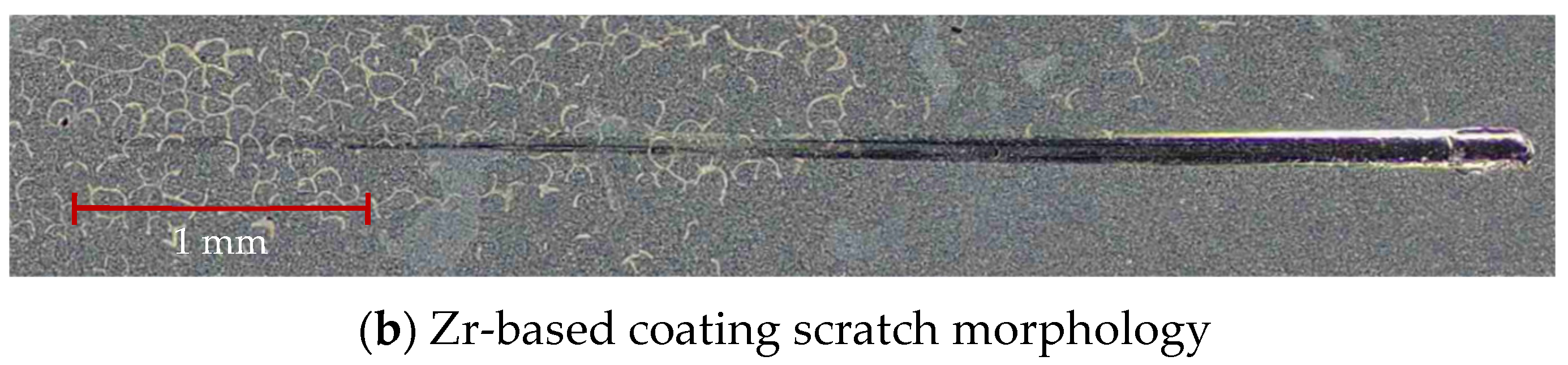 Coatings 14 01255 g020b