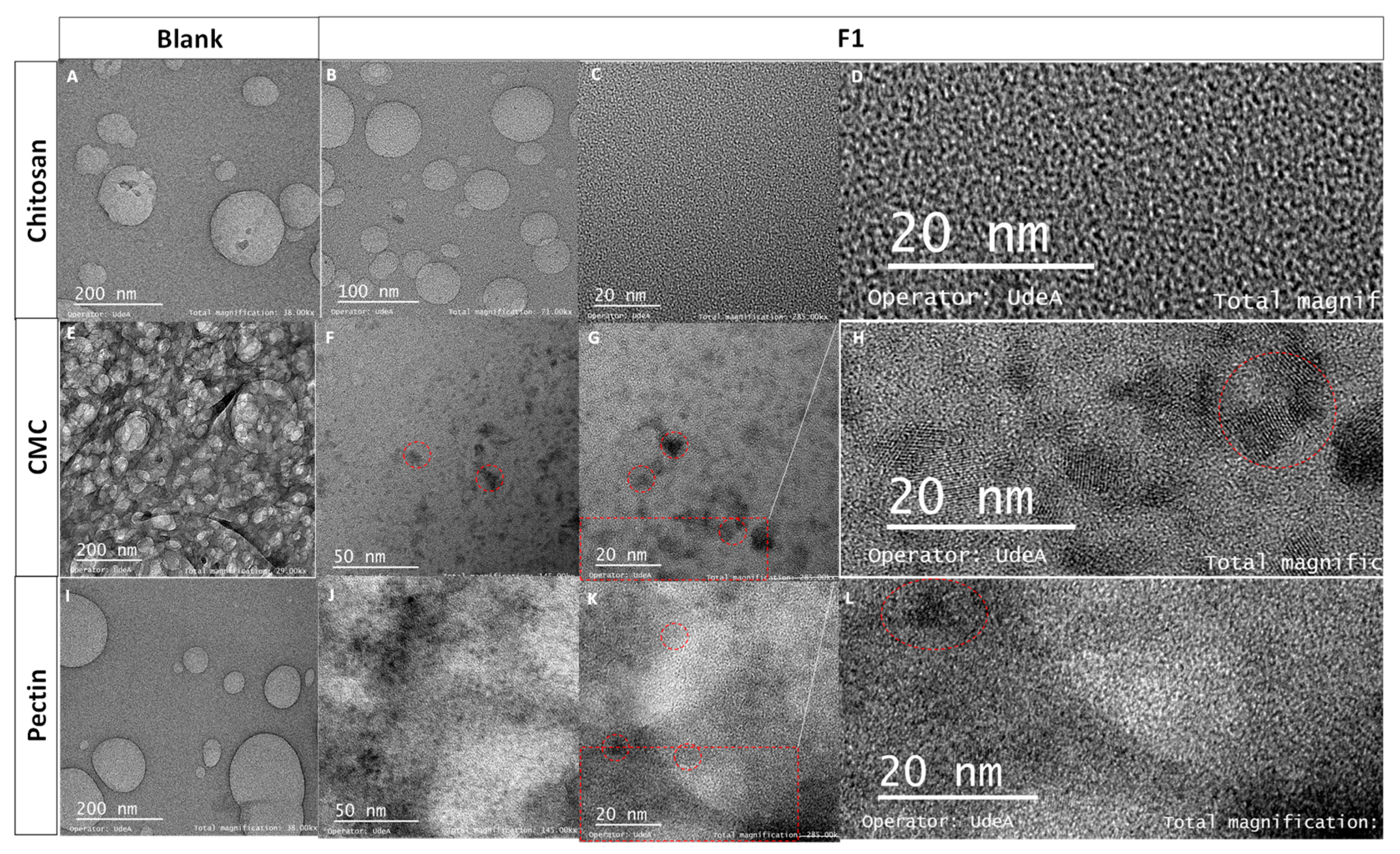 Coatings 14 01256 g002