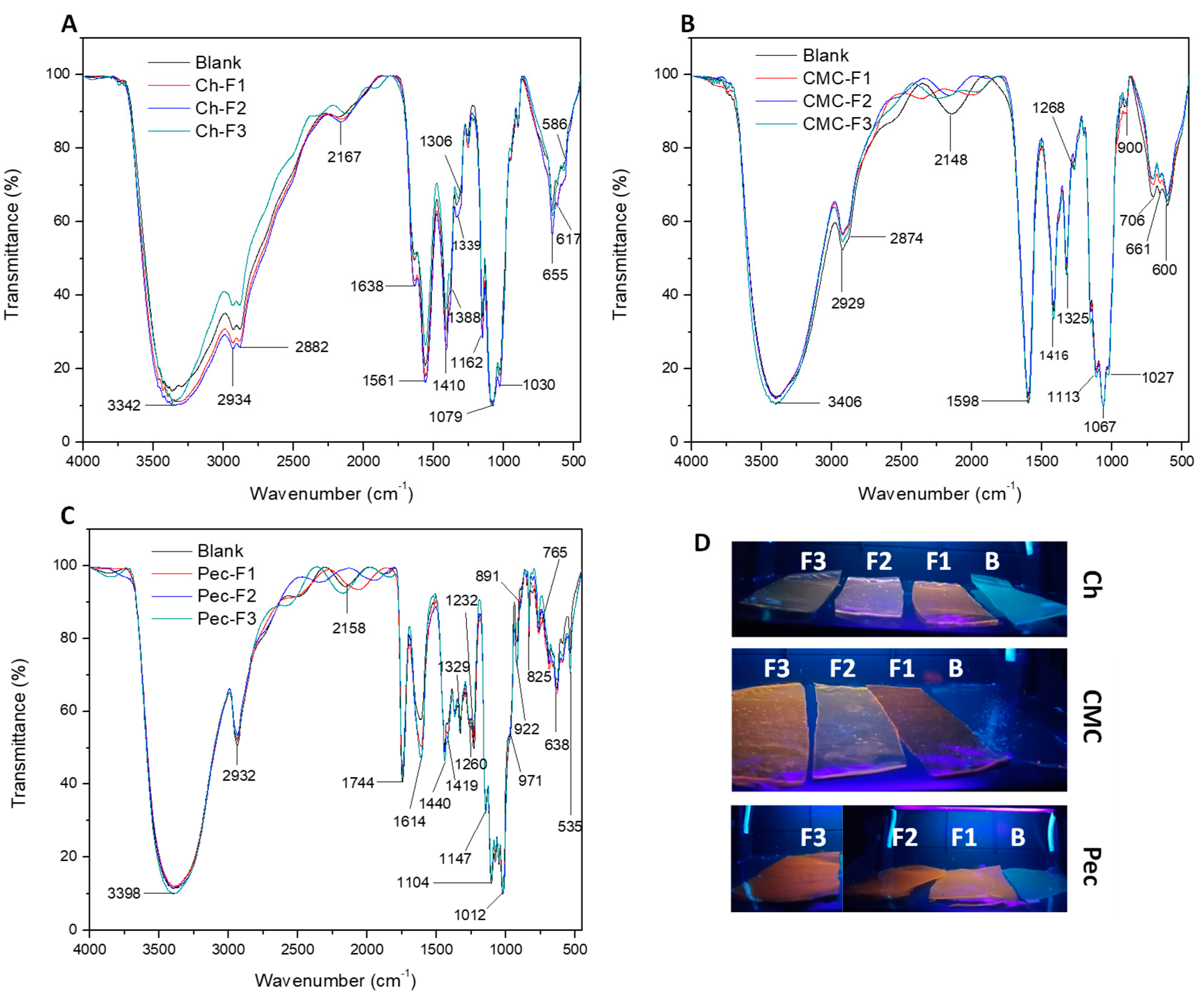 Coatings 14 01256 g003