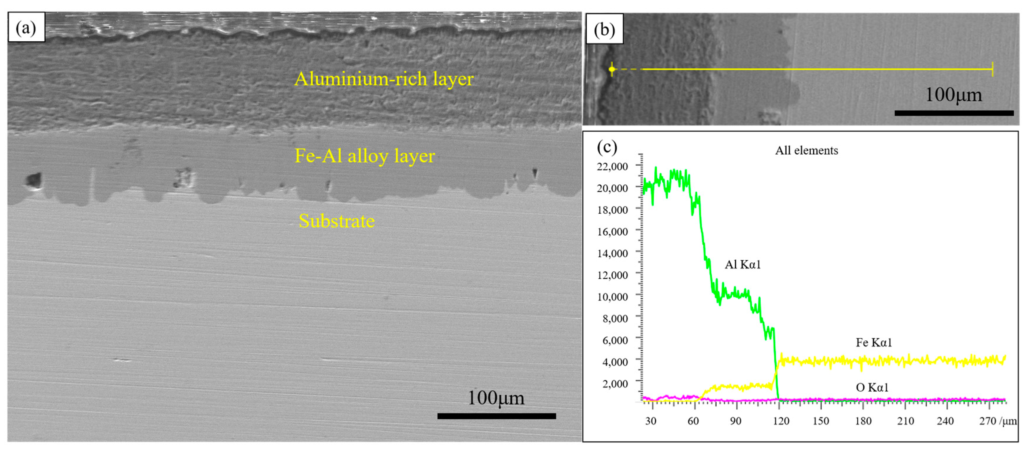 Coatings 14 01257 g002