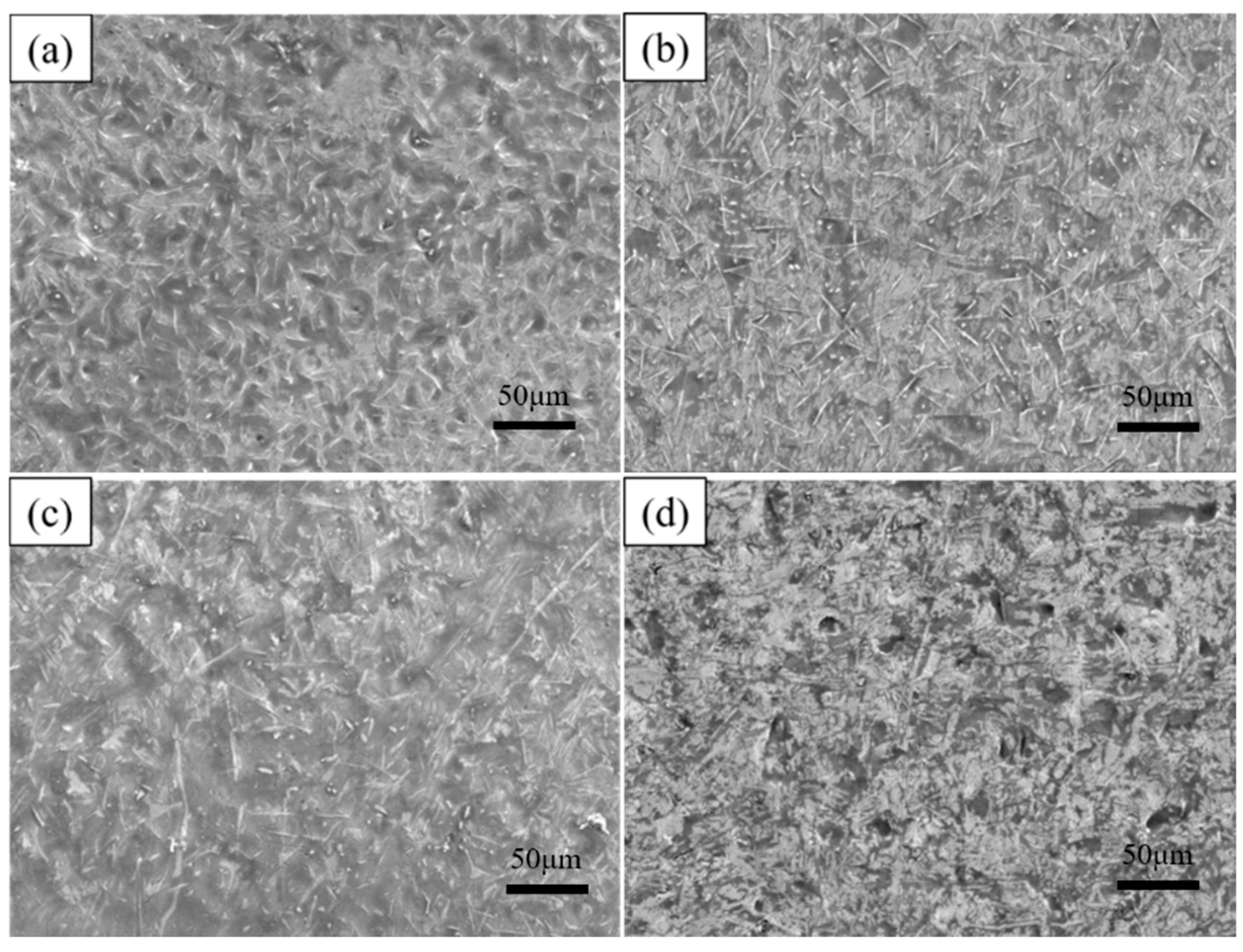 Coatings 14 01257 g005