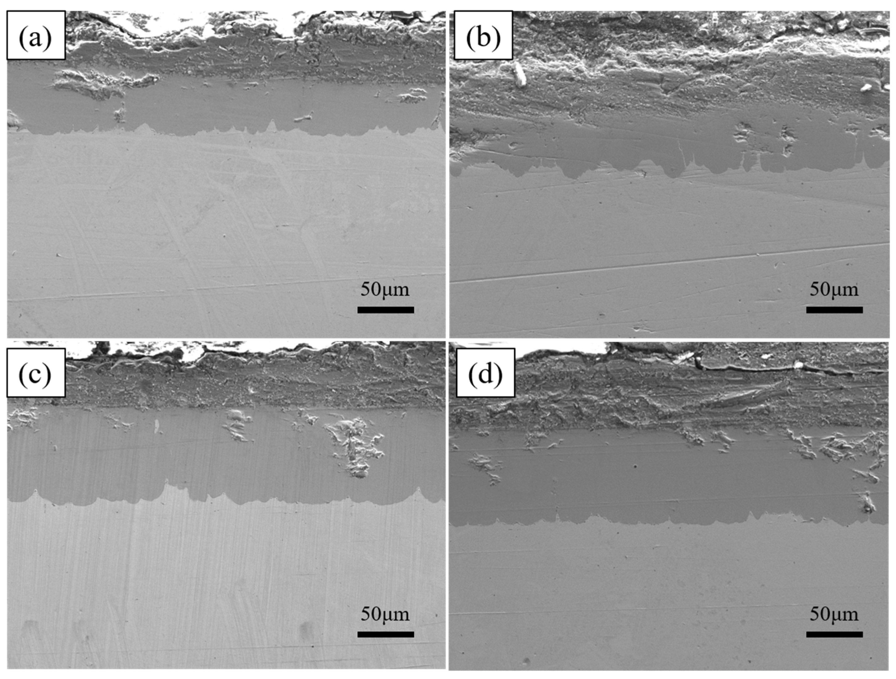 Coatings 14 01257 g007