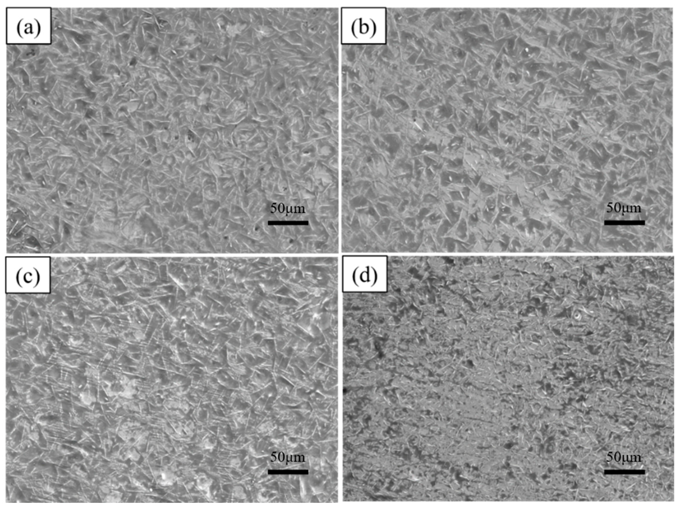 Coatings 14 01257 g008