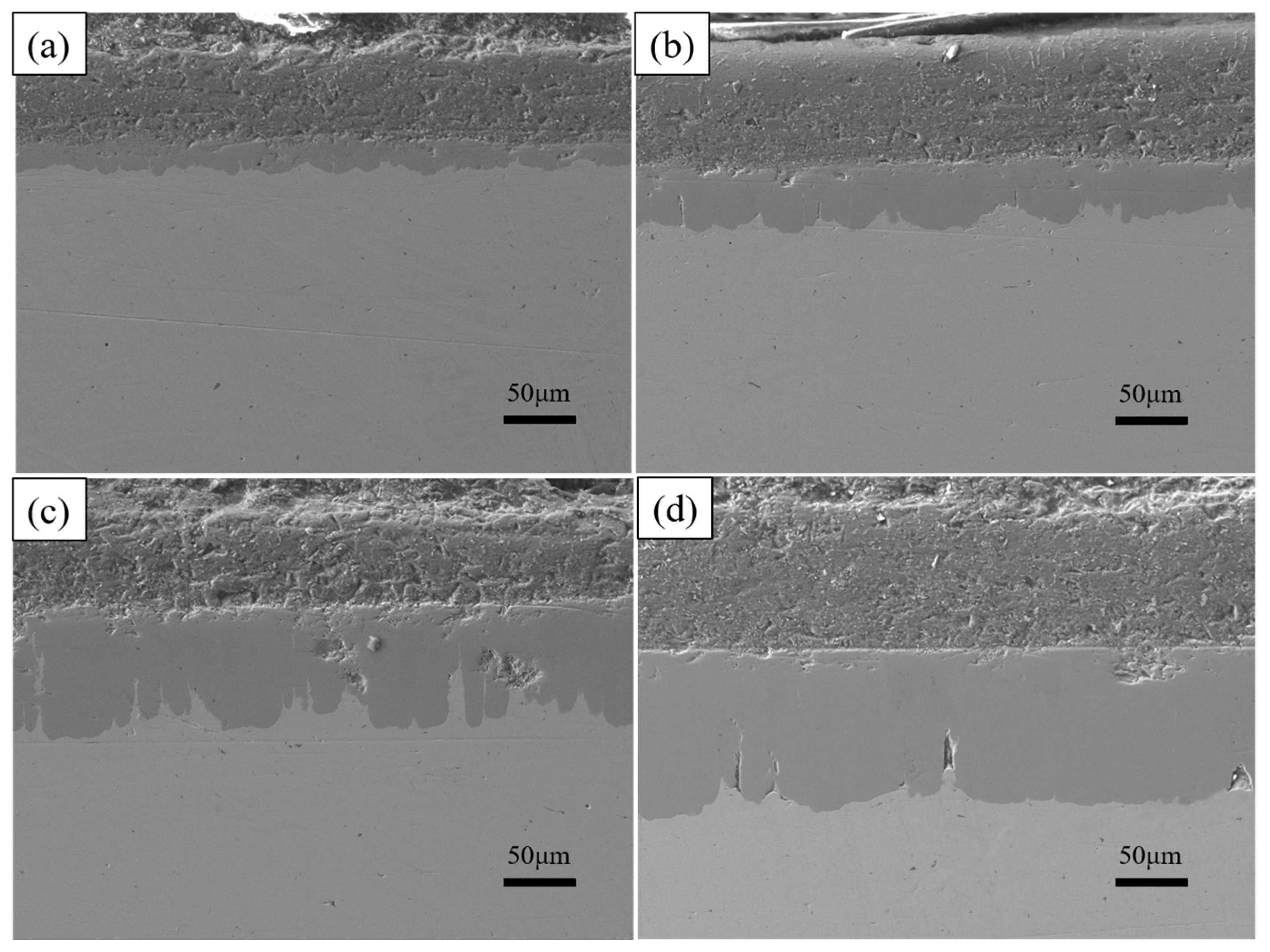 Coatings 14 01257 g010