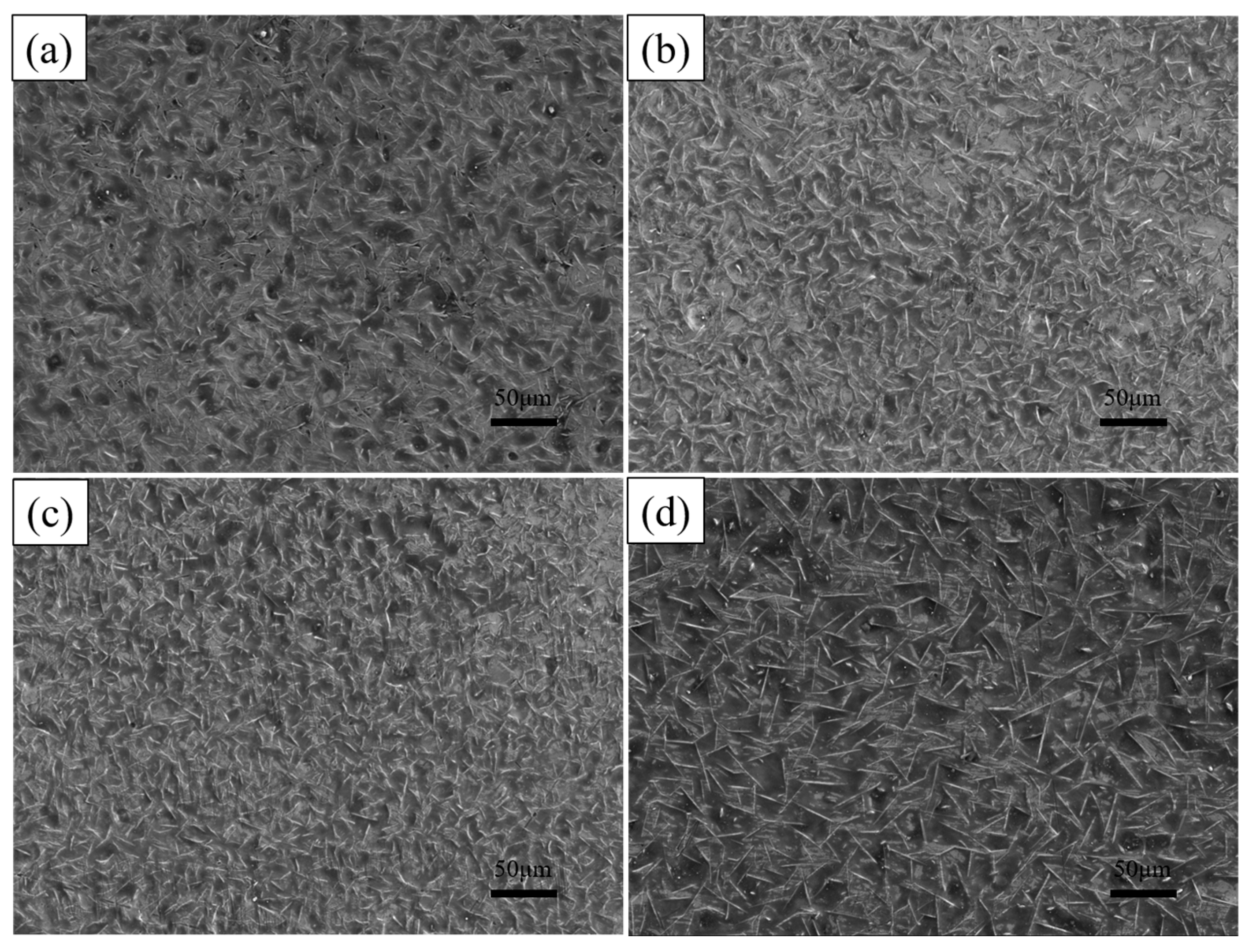 Coatings 14 01257 g011