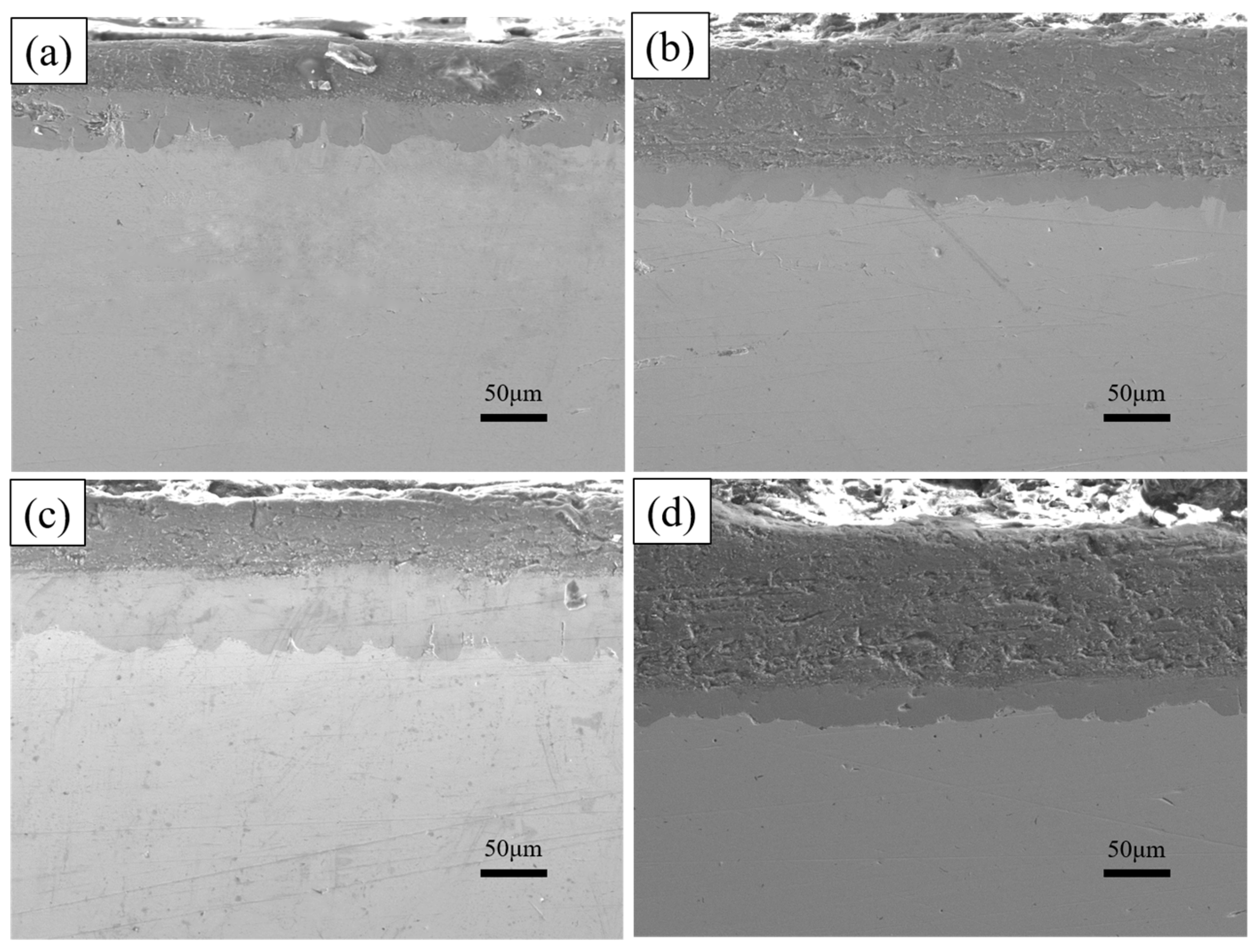 Coatings 14 01257 g012