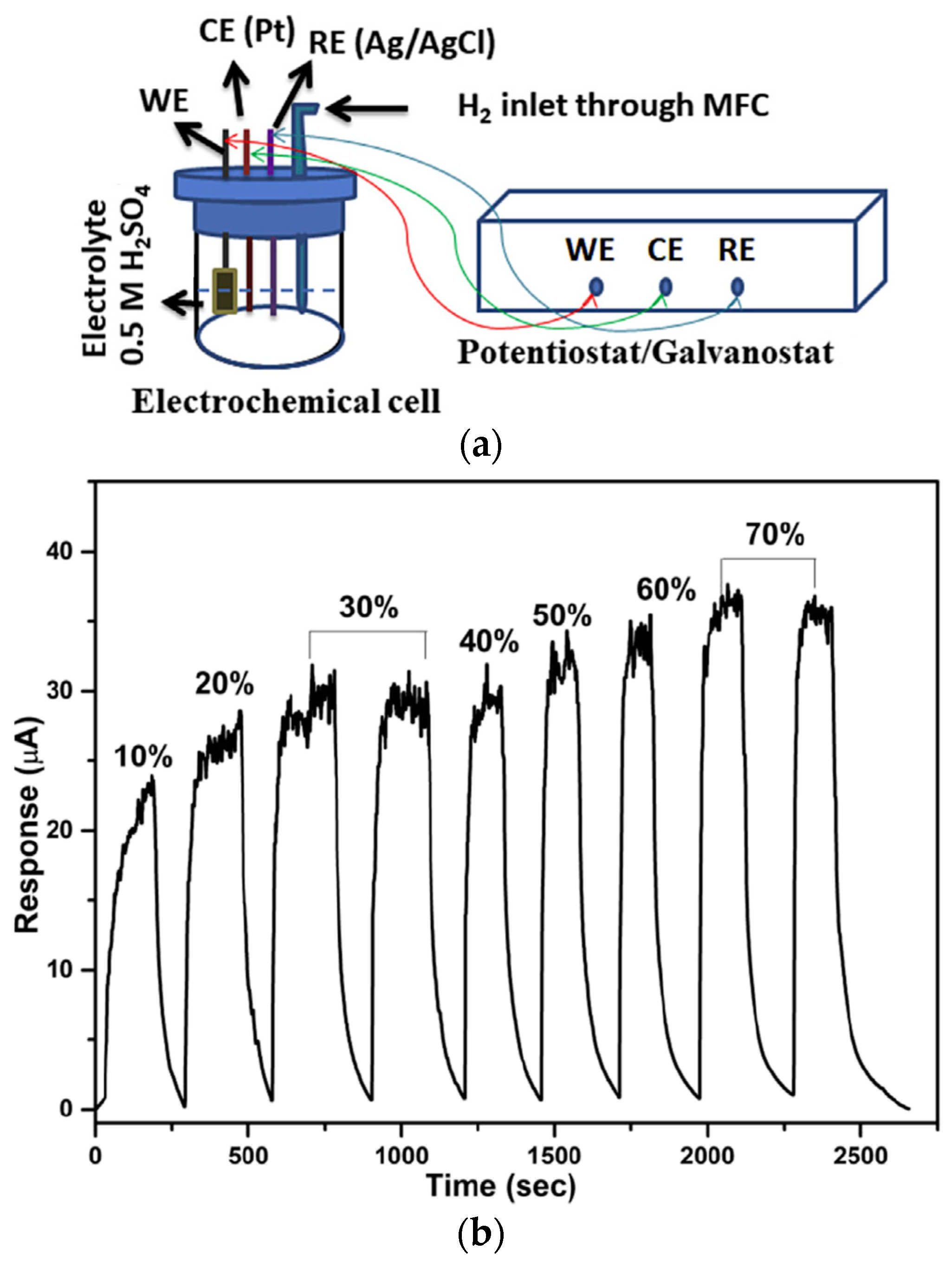 Coatings 14 01260 g002 Coatings 14 01260 g002