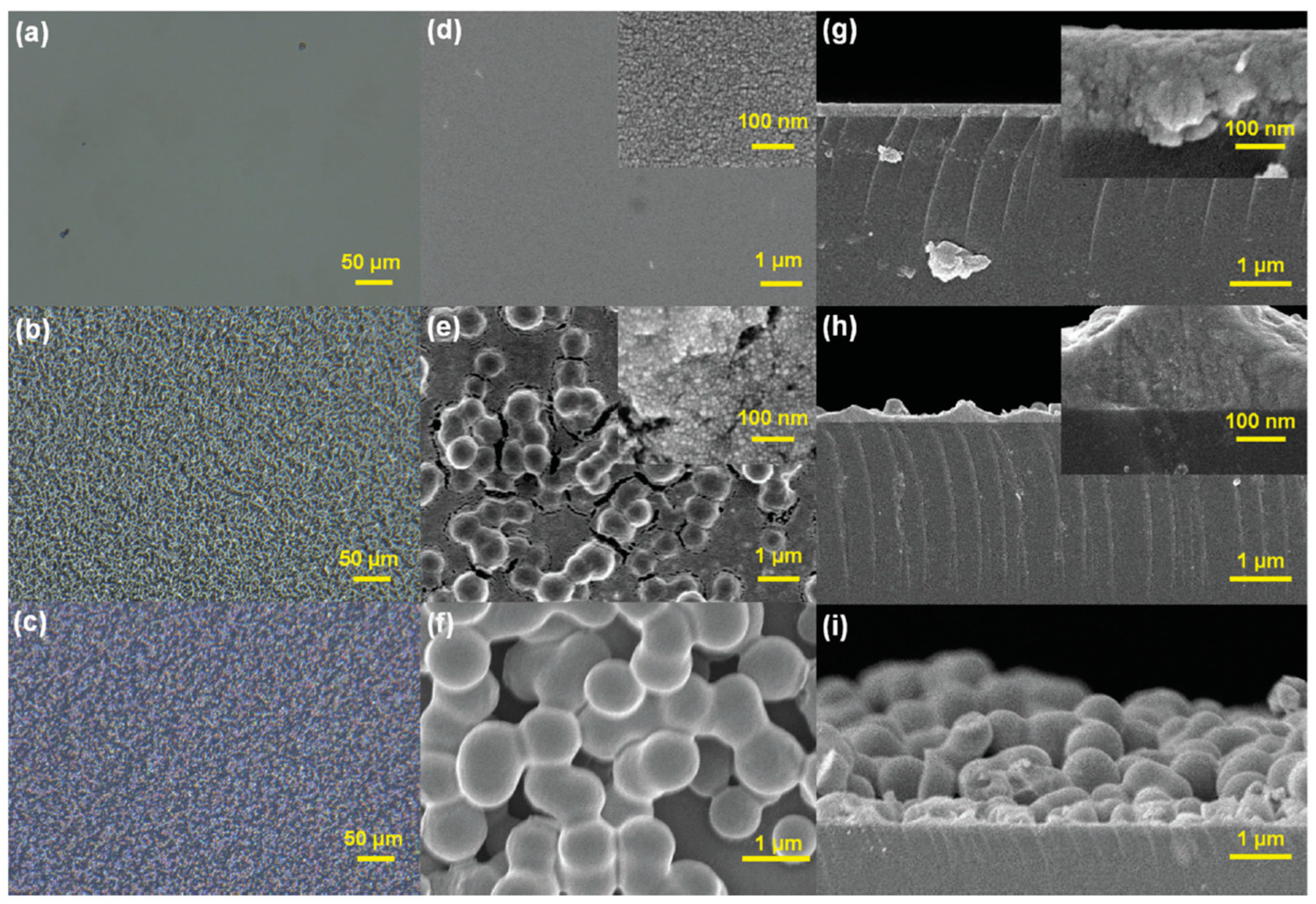 Coatings 14 01260 g005 Coatings 14 01260 g005