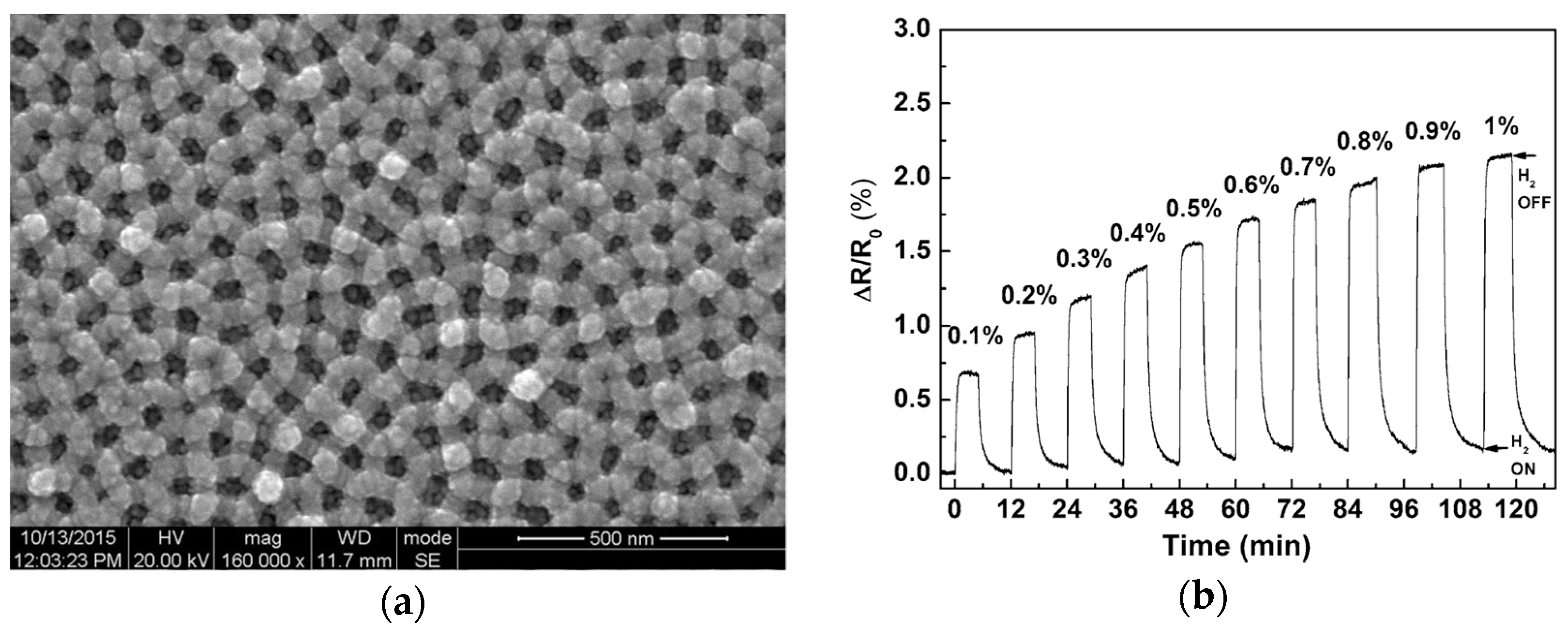 Coatings 14 01260 g006 Coatings 14 01260 g006
