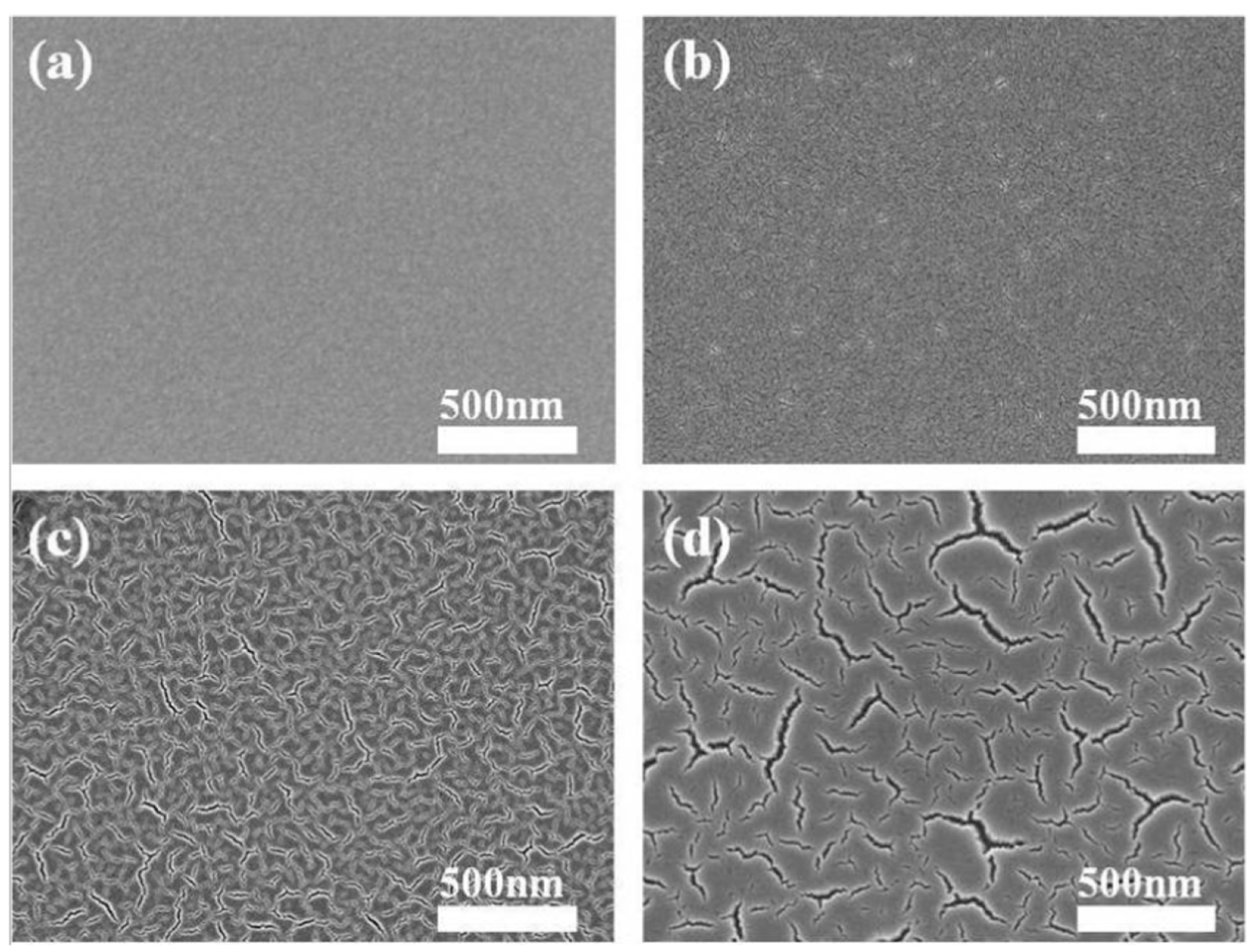 Coatings 14 01260 g007 Coatings 14 01260 g007