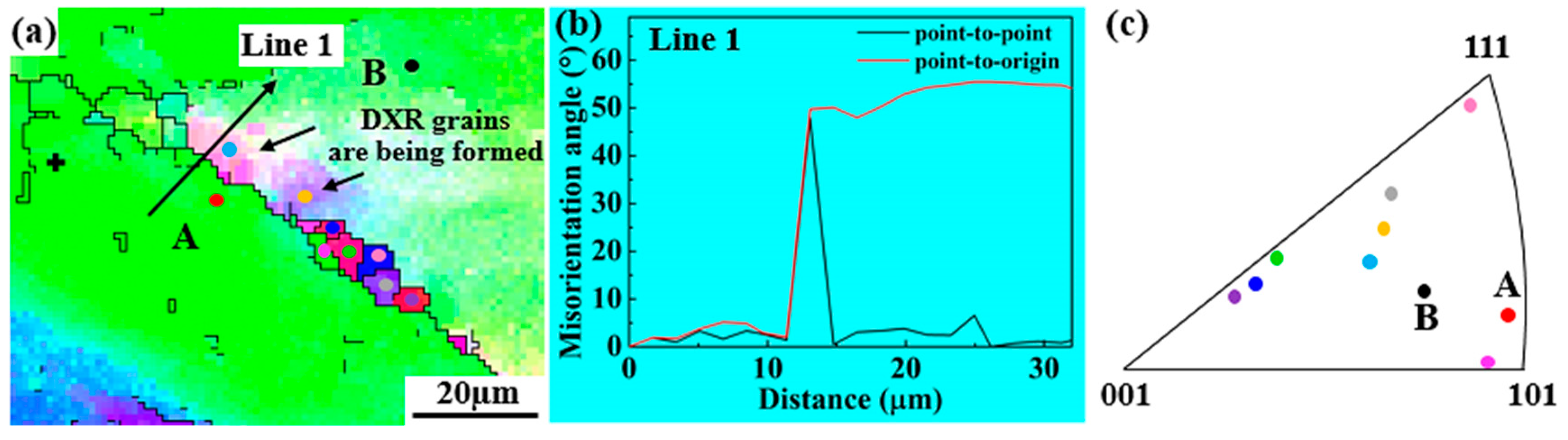 Coatings 14 01261 g010