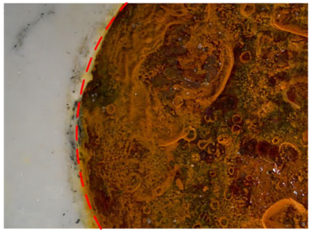 Coatings 14 01263 g006