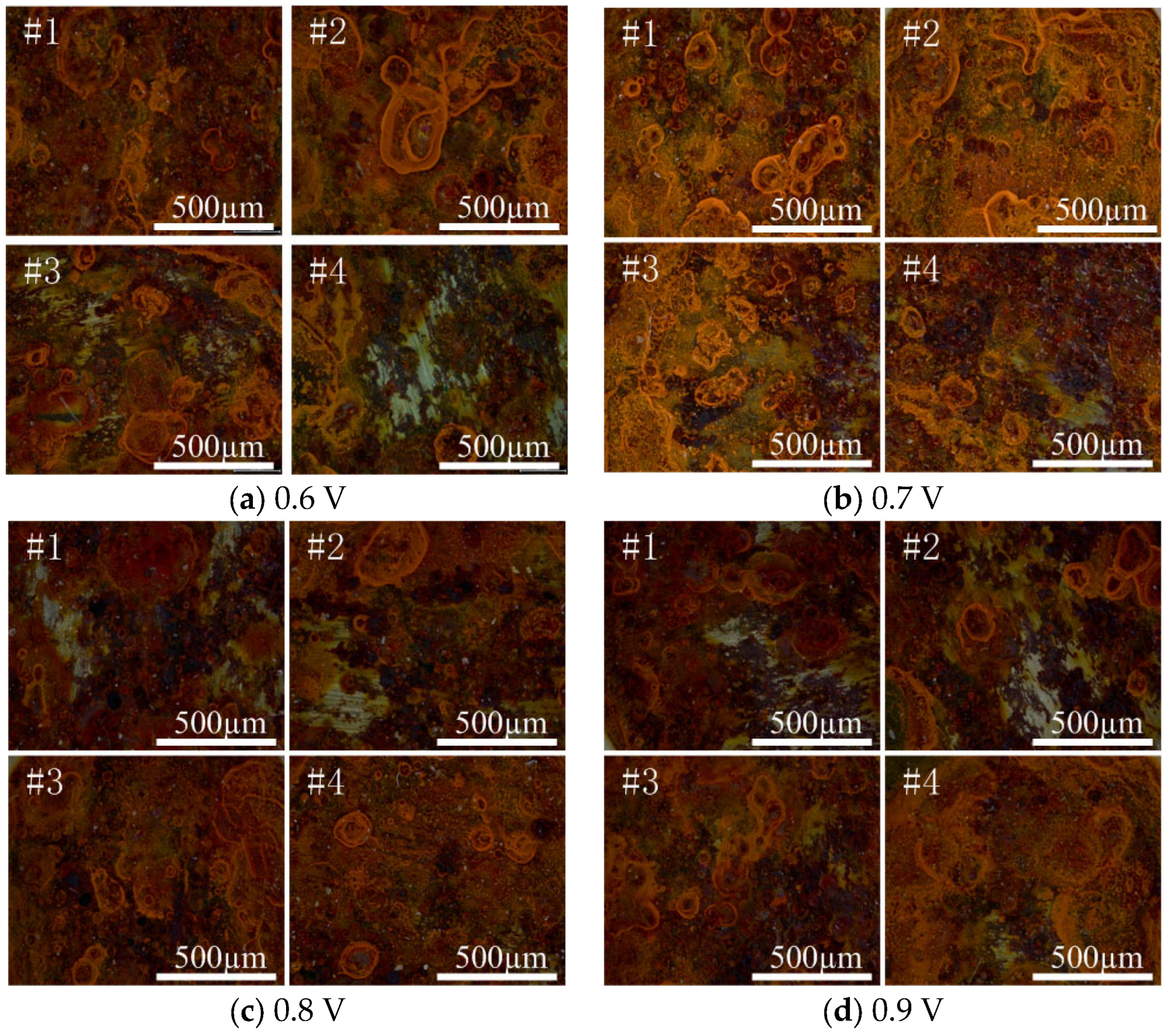 Coatings 14 01263 g008