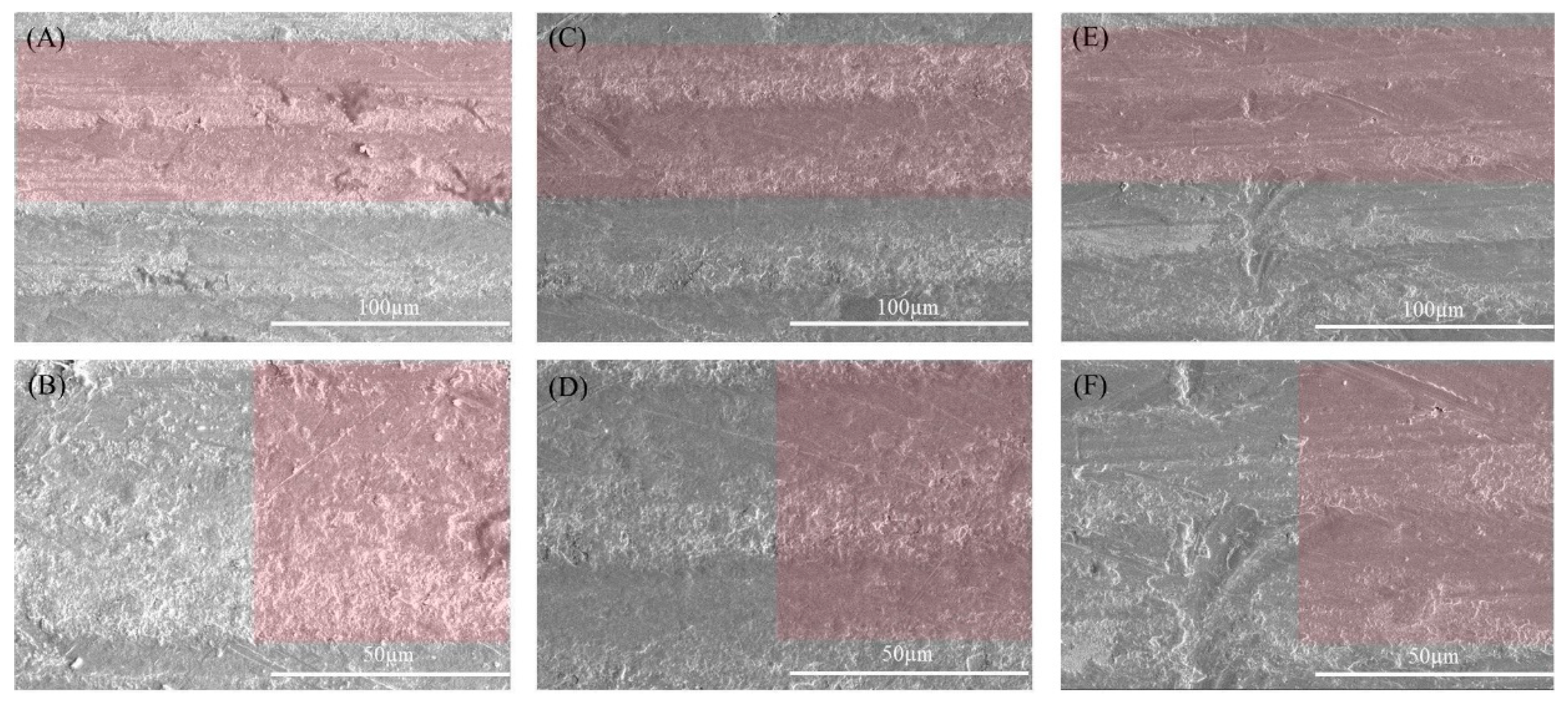 Coatings 14 01264 g003