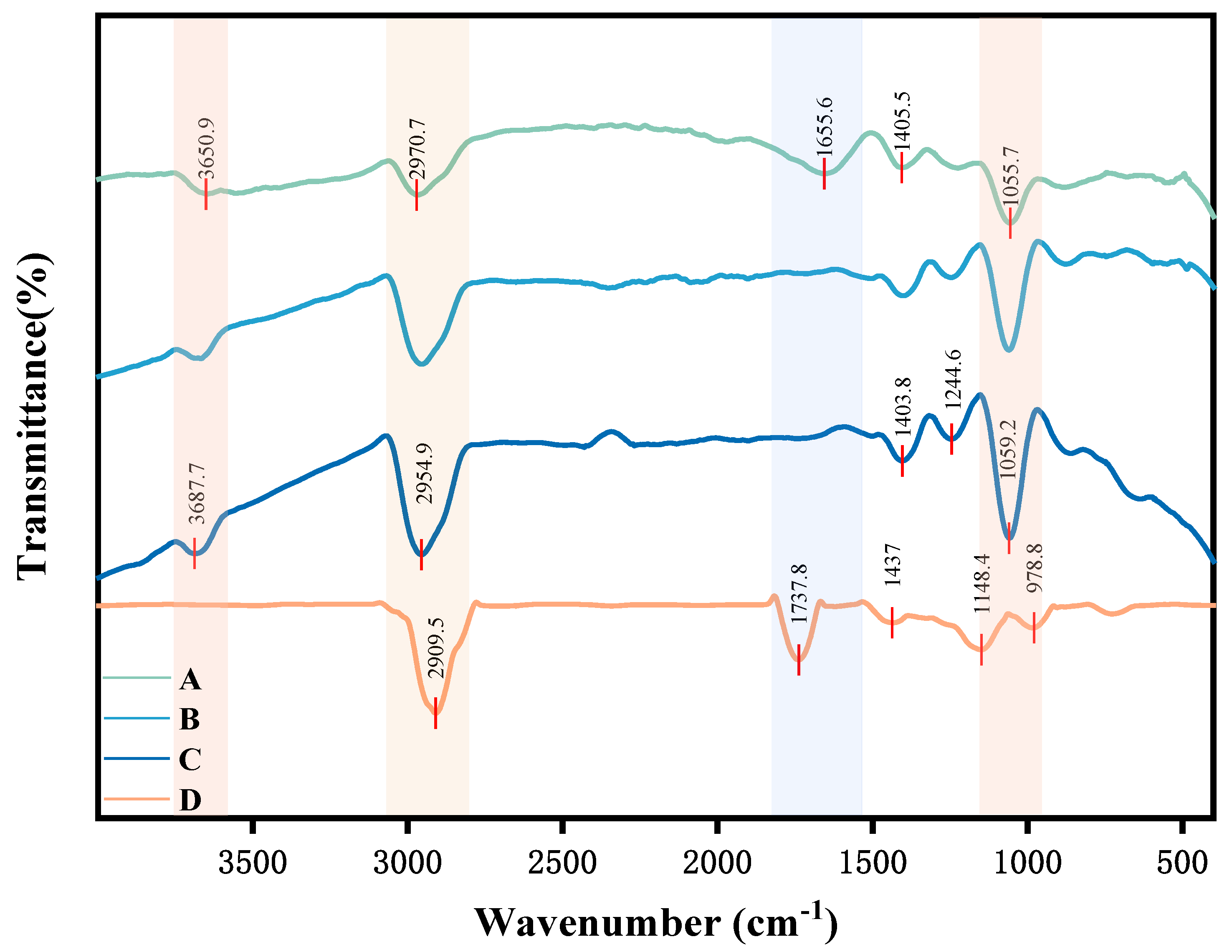 Coatings 14 01264 g004