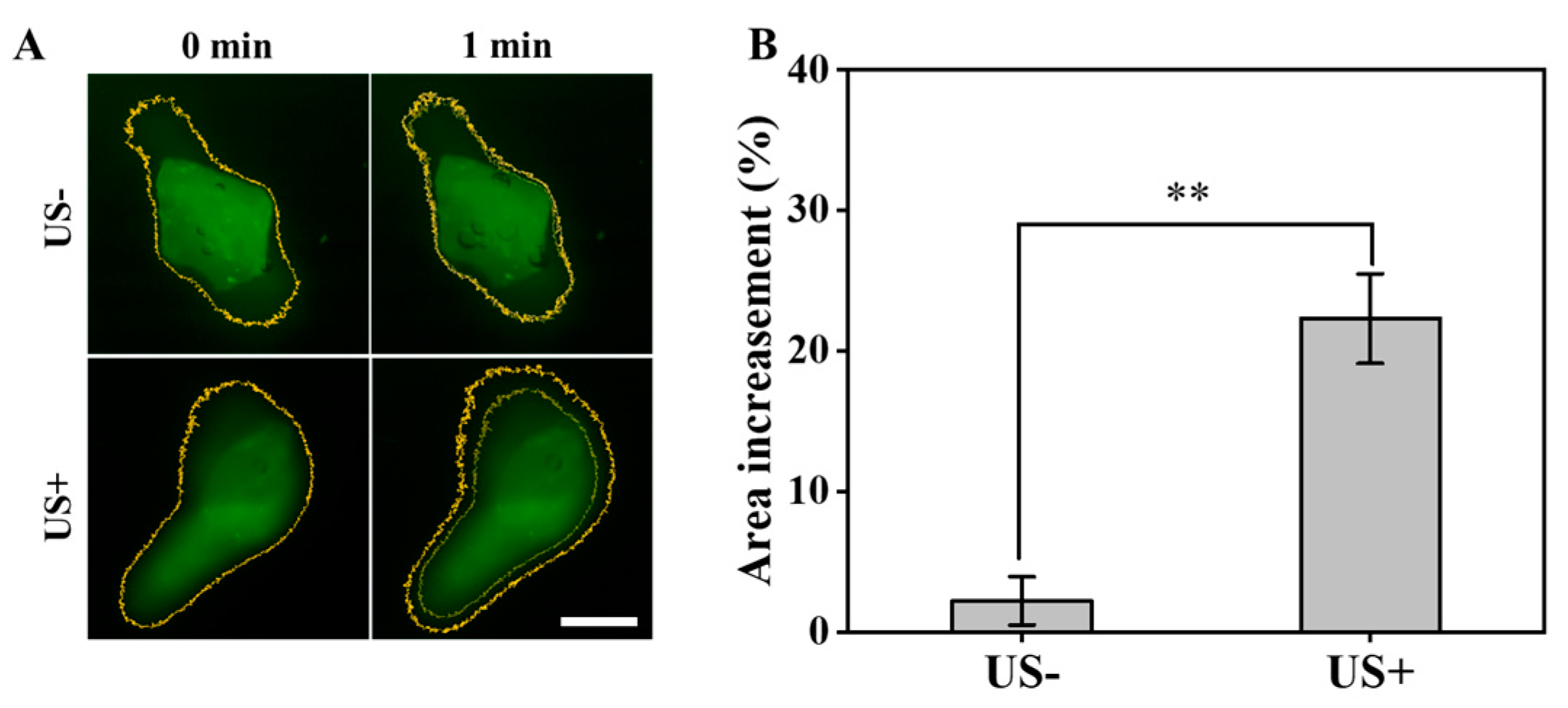 Coatings 14 01267 g002