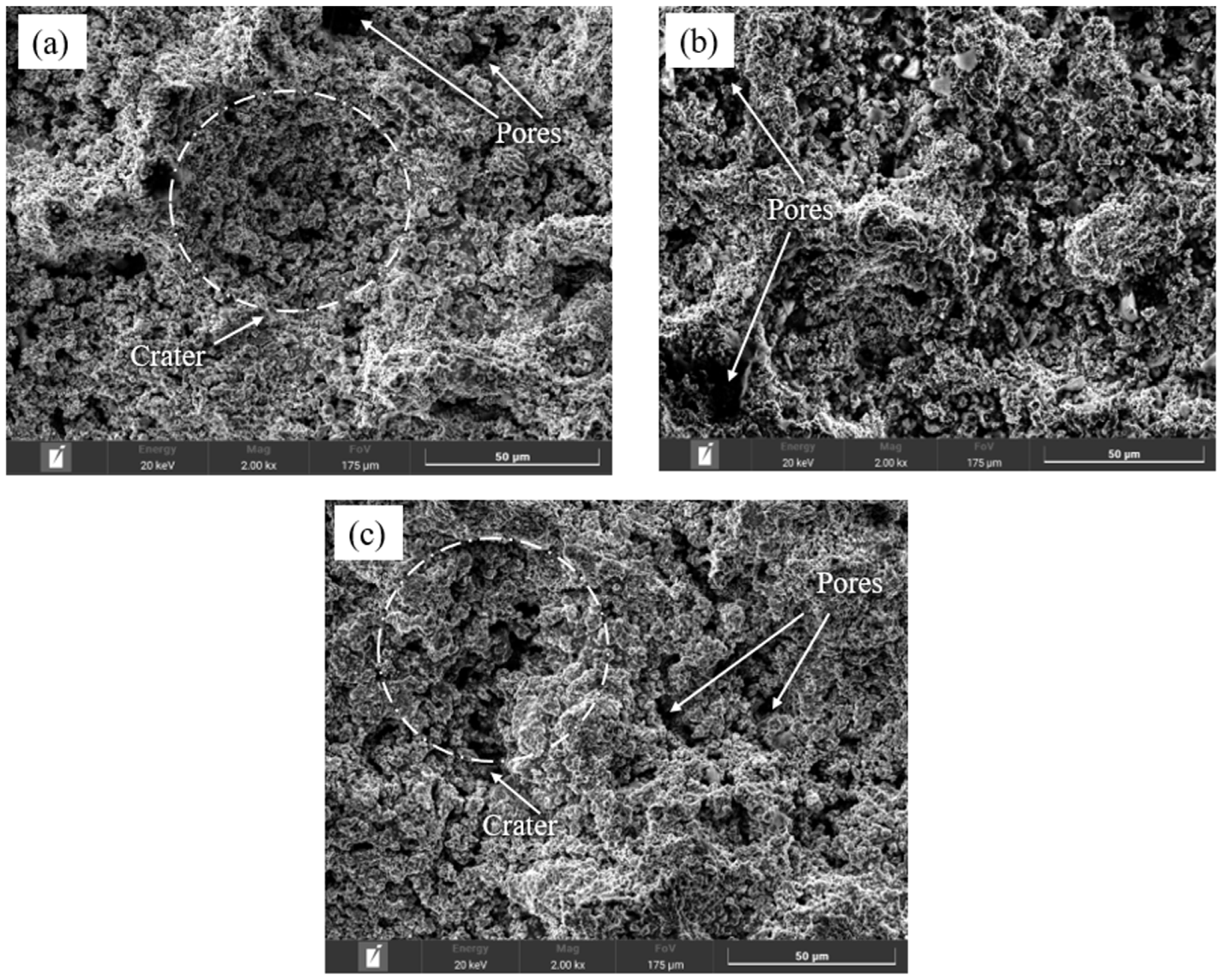 Coatings 14 01275 g002