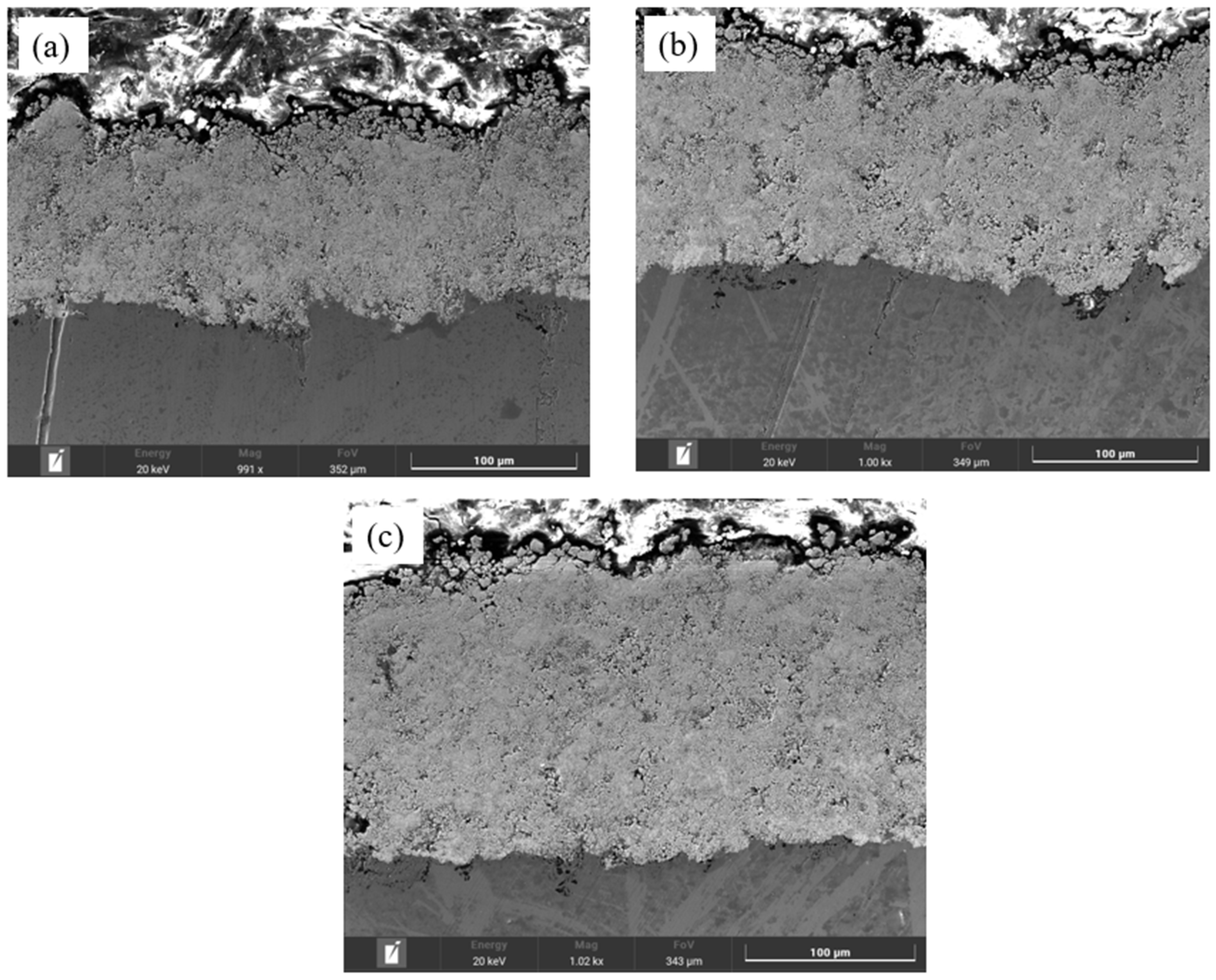 Coatings 14 01275 g004