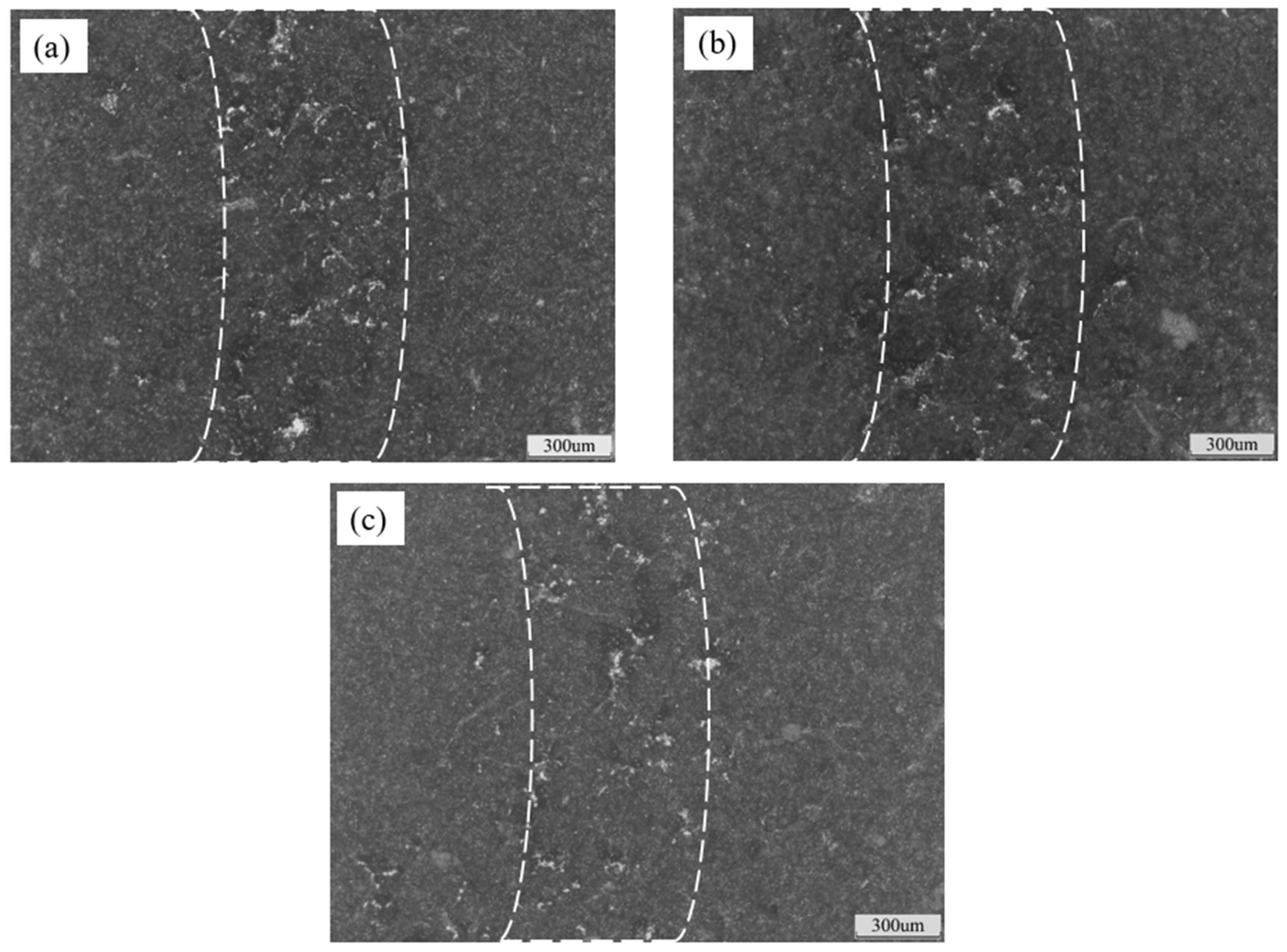 Coatings 14 01275 g007