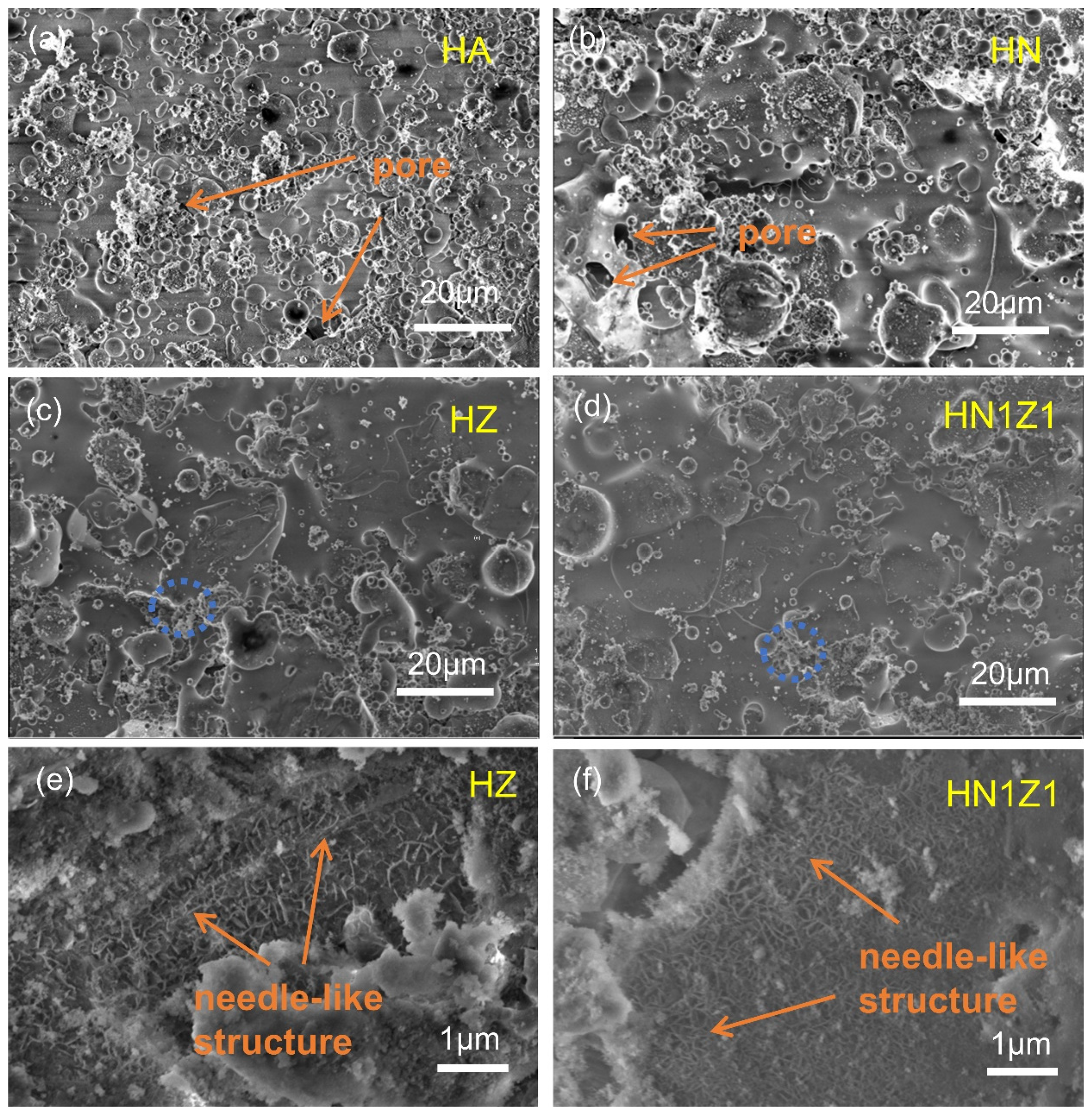 Coatings 14 01282 g001