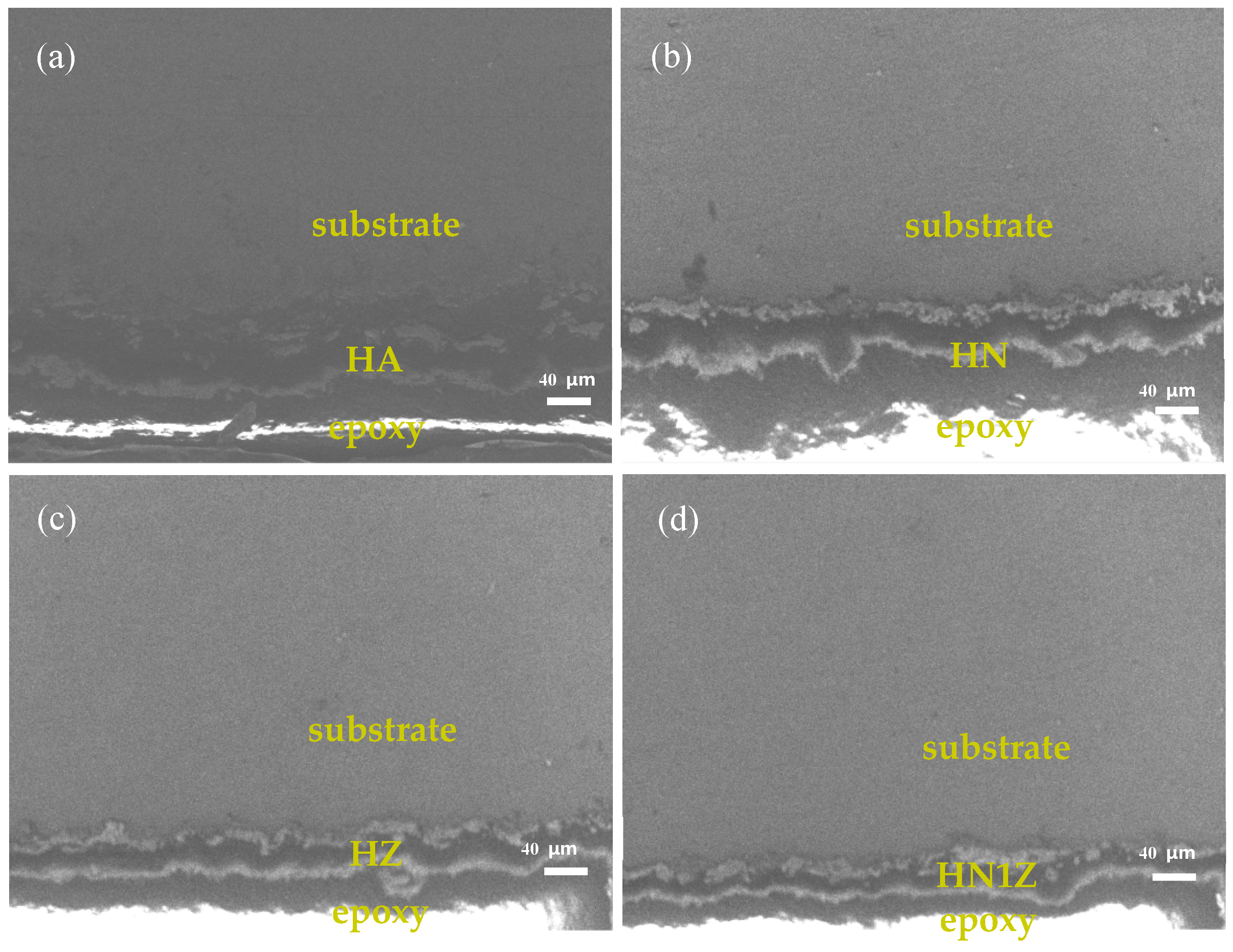 Coatings 14 01282 g002