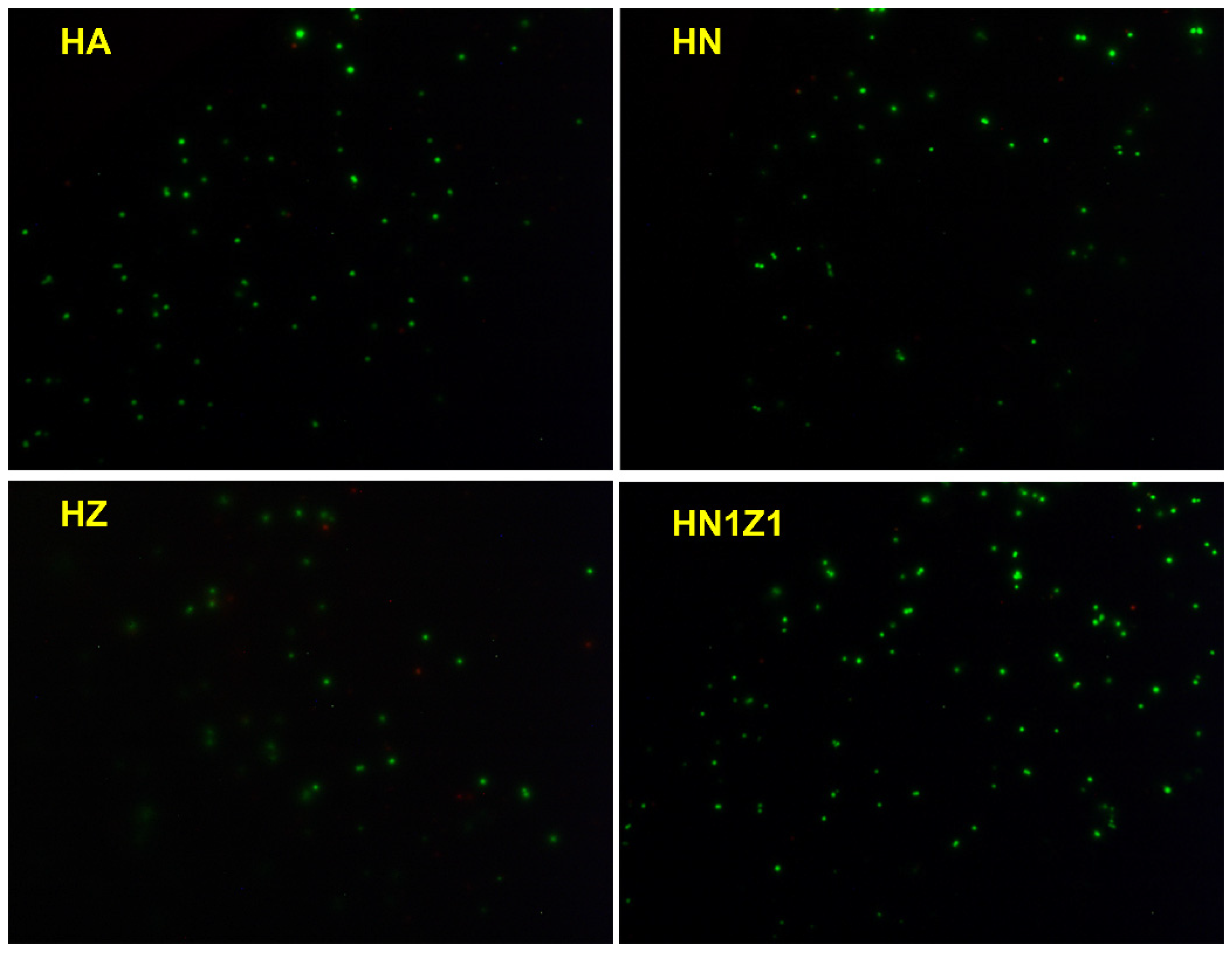 Coatings 14 01282 g010