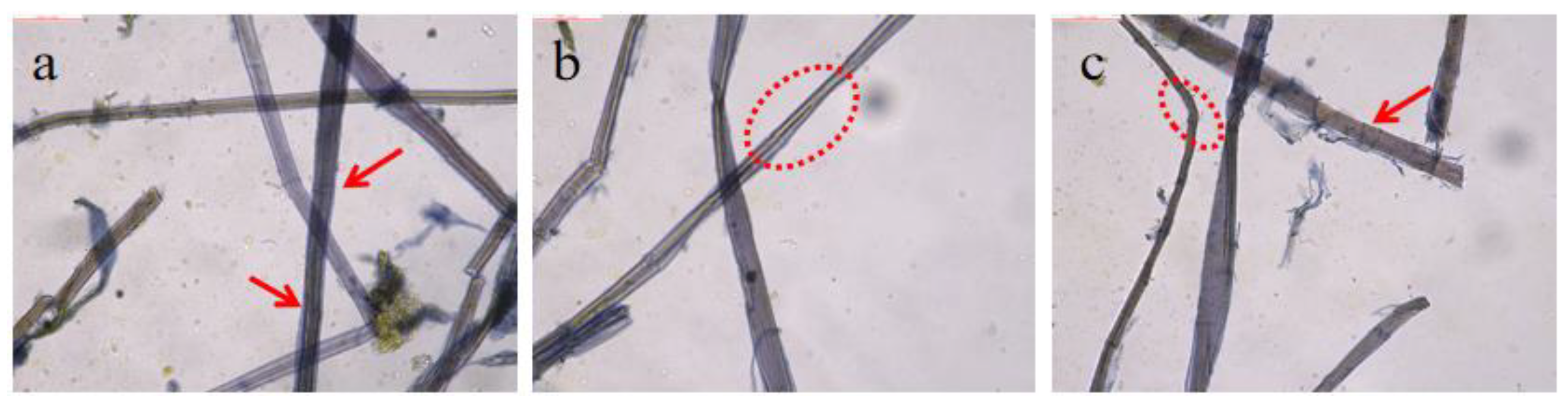 Coatings 14 01287 g005 Coatings 14 01287 g005