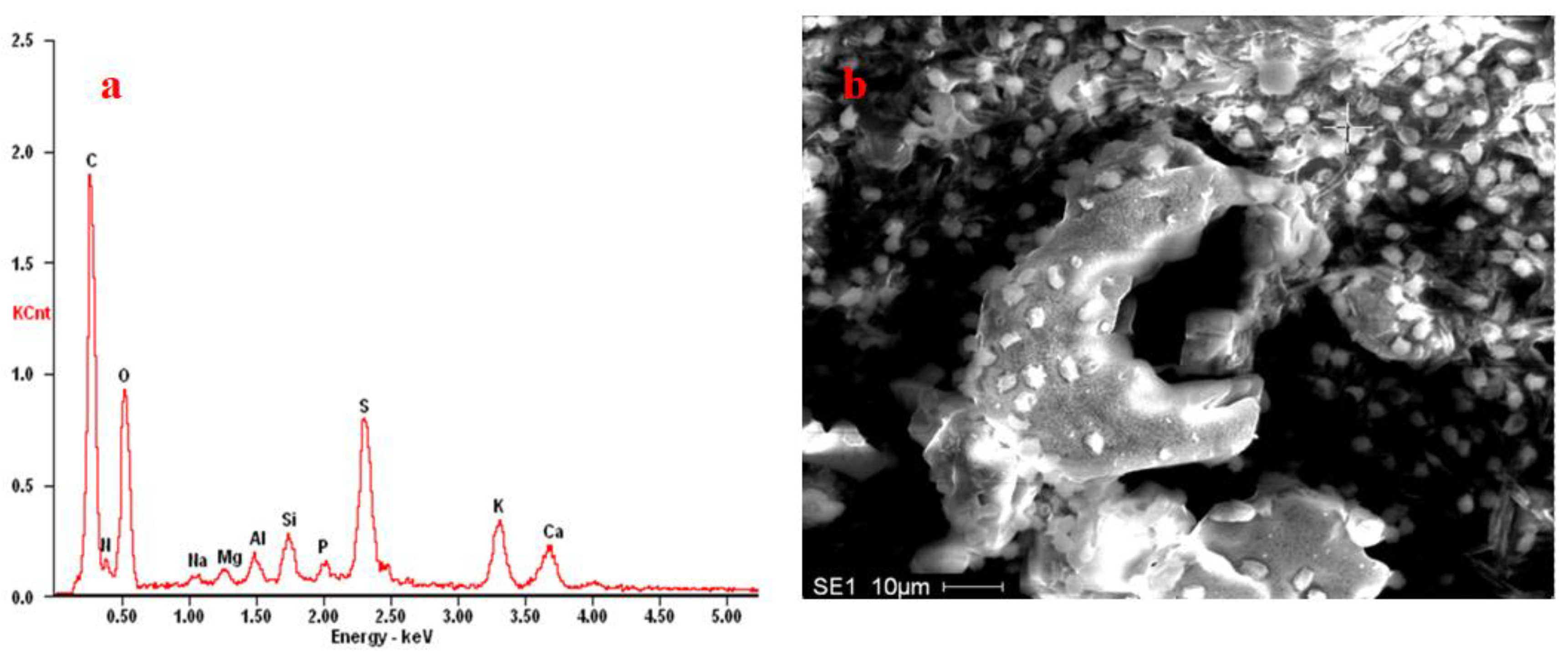 Coatings 14 01287 g008 Coatings 14 01287 g008