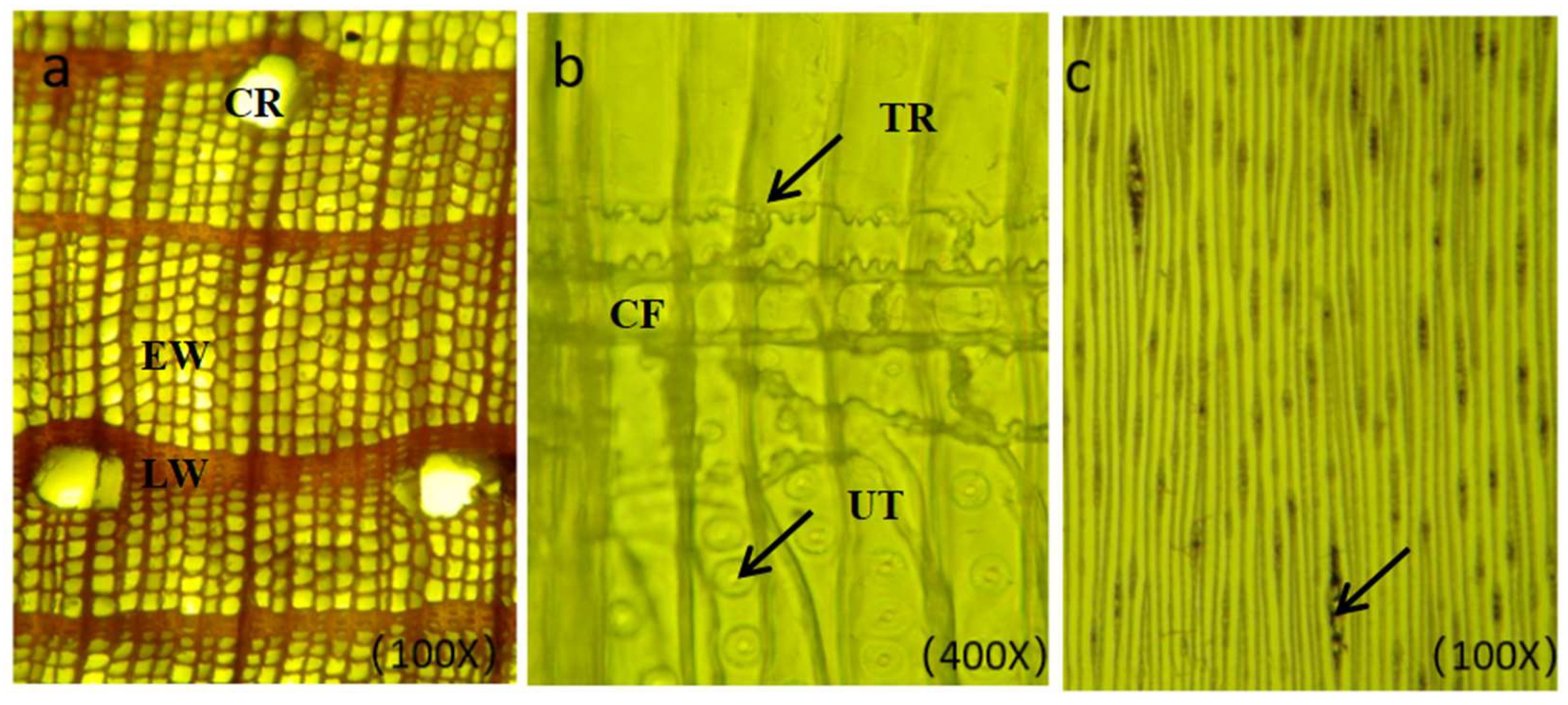 Coatings 14 01287 g010 Coatings 14 01287 g010