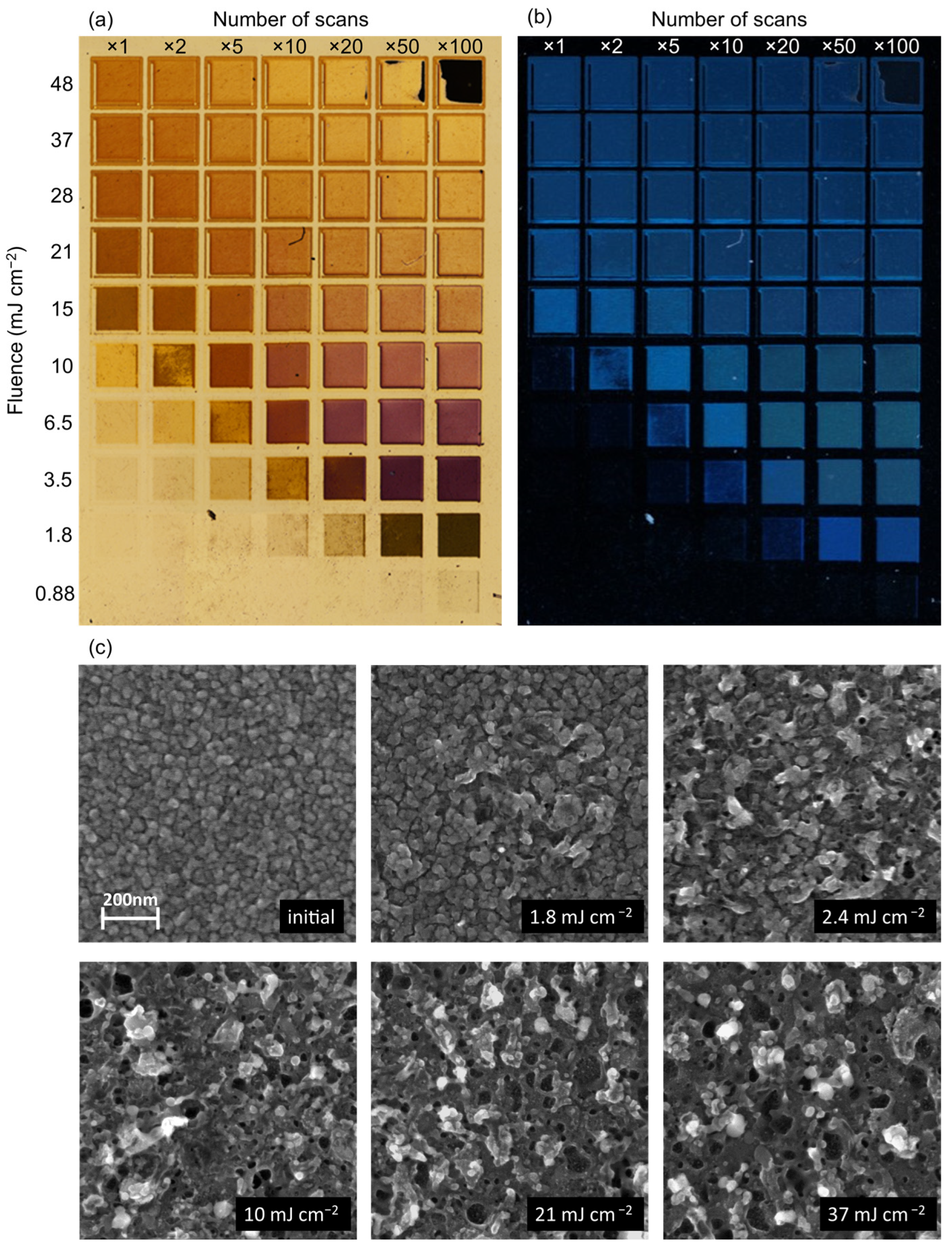 Coatings 14 01298 g002 Coatings 14 01298 g002