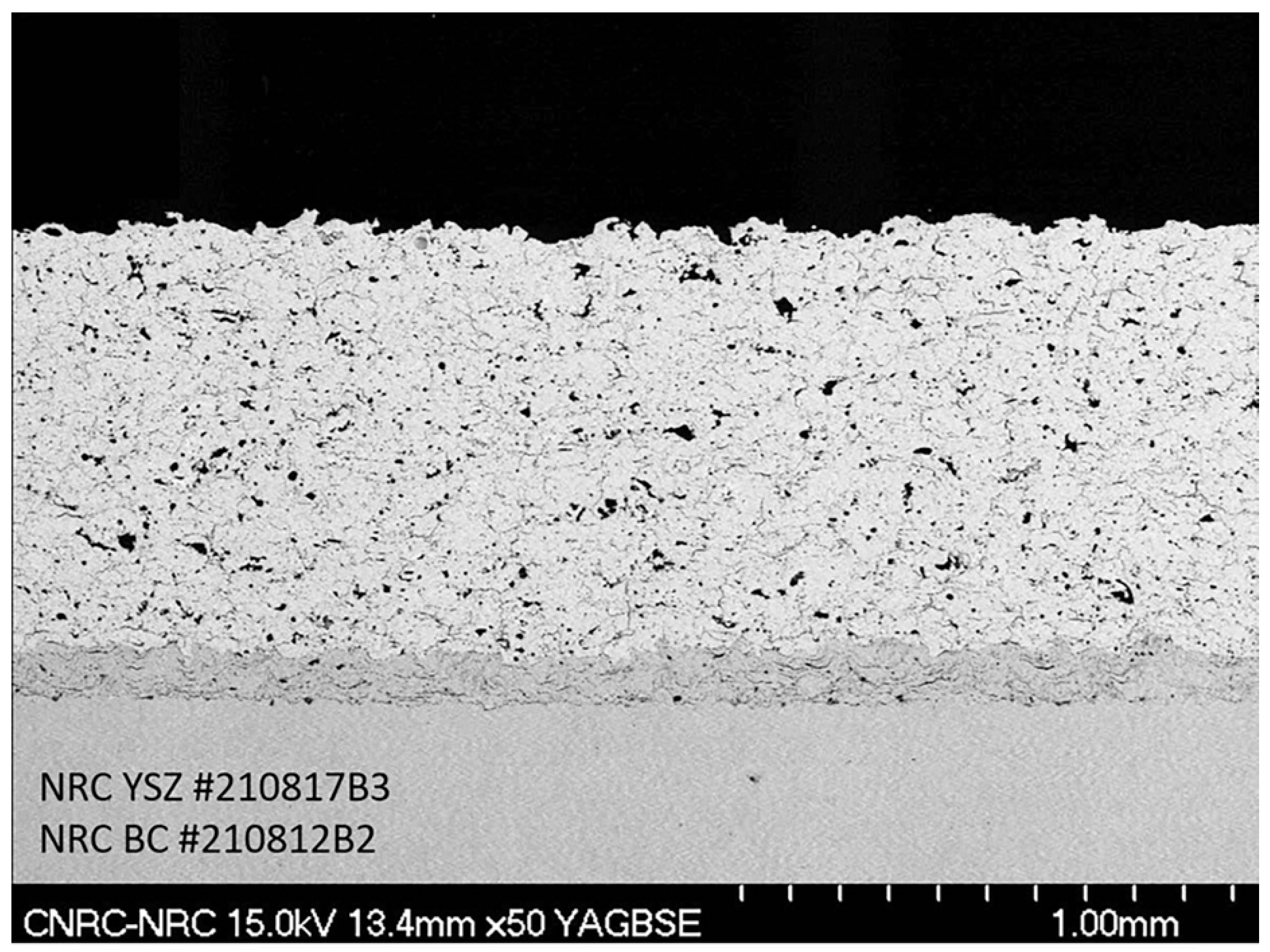 Coatings 14 01341 g003