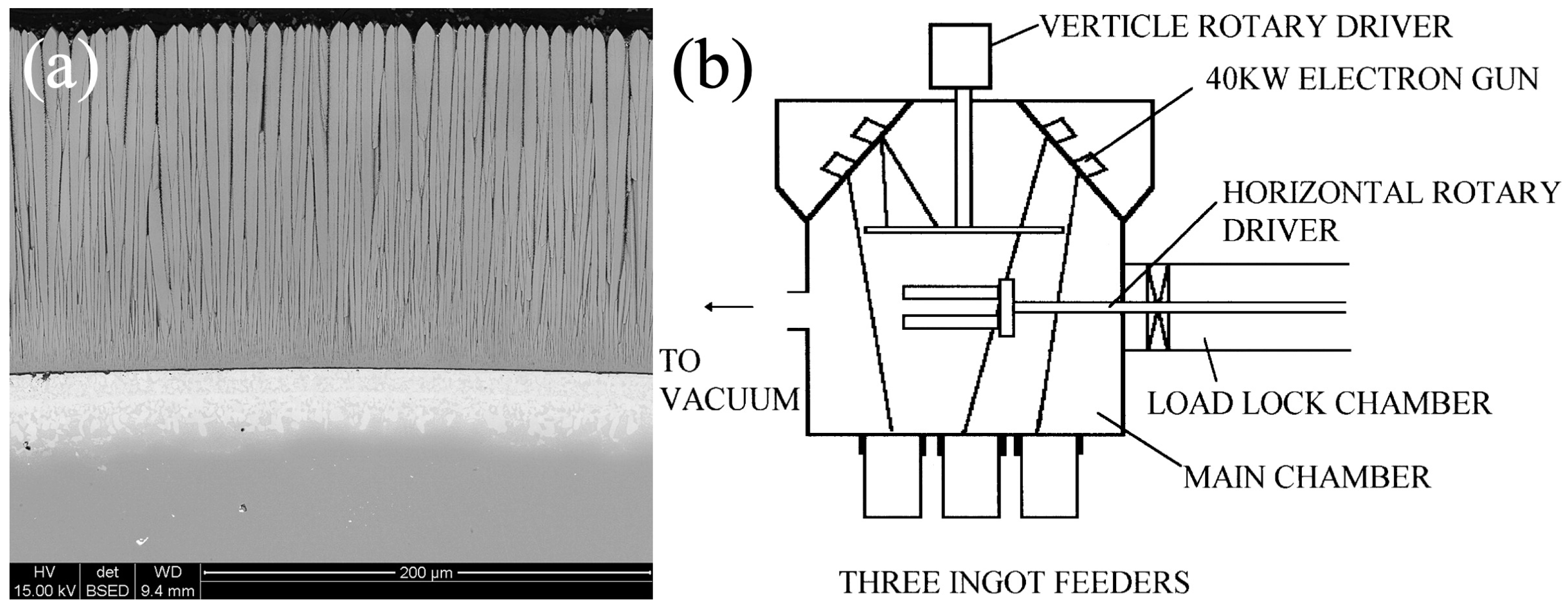 Coatings 14 01341 g005