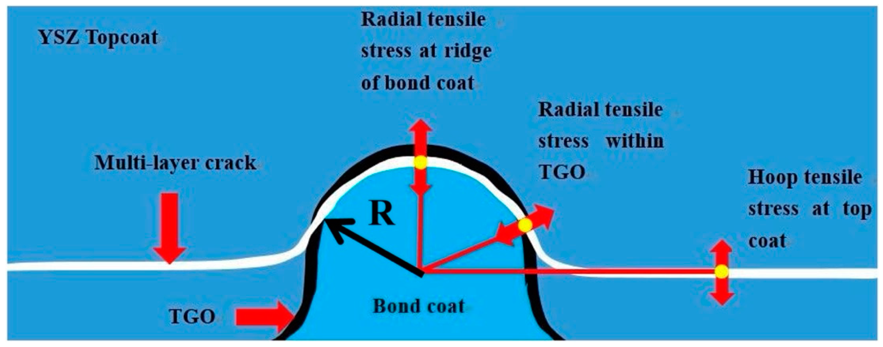 Coatings 14 01341 g008