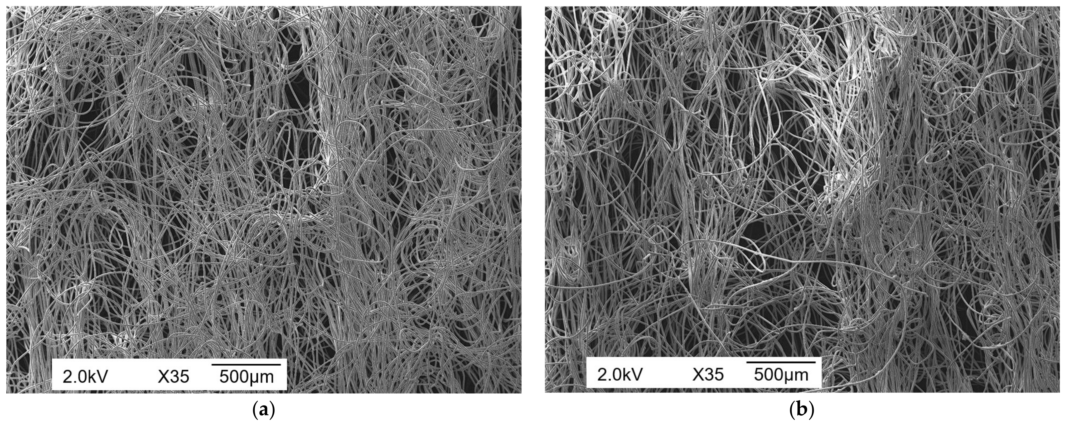 Coatings 14 01342 g003