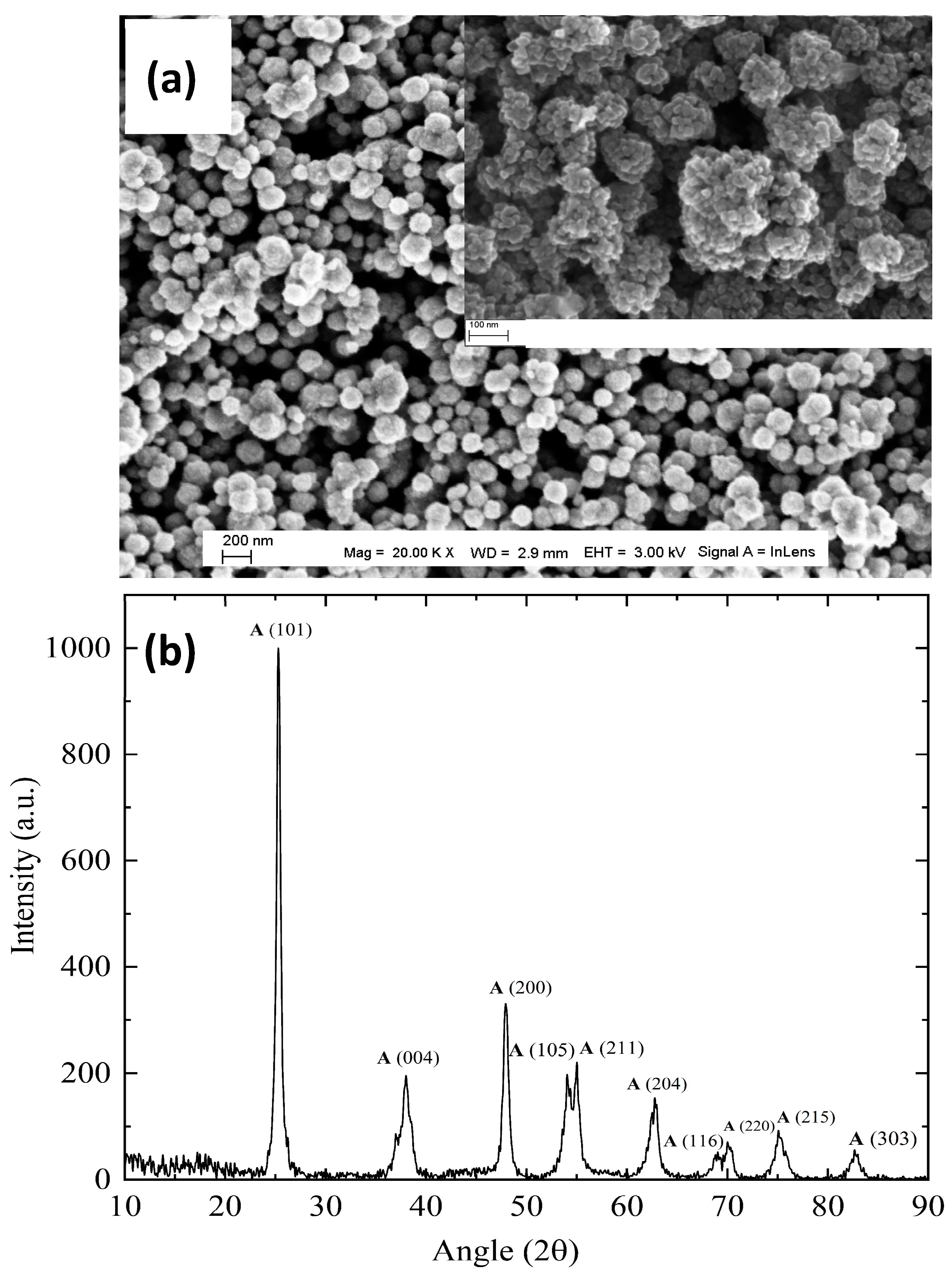Coatings 14 01344 g001