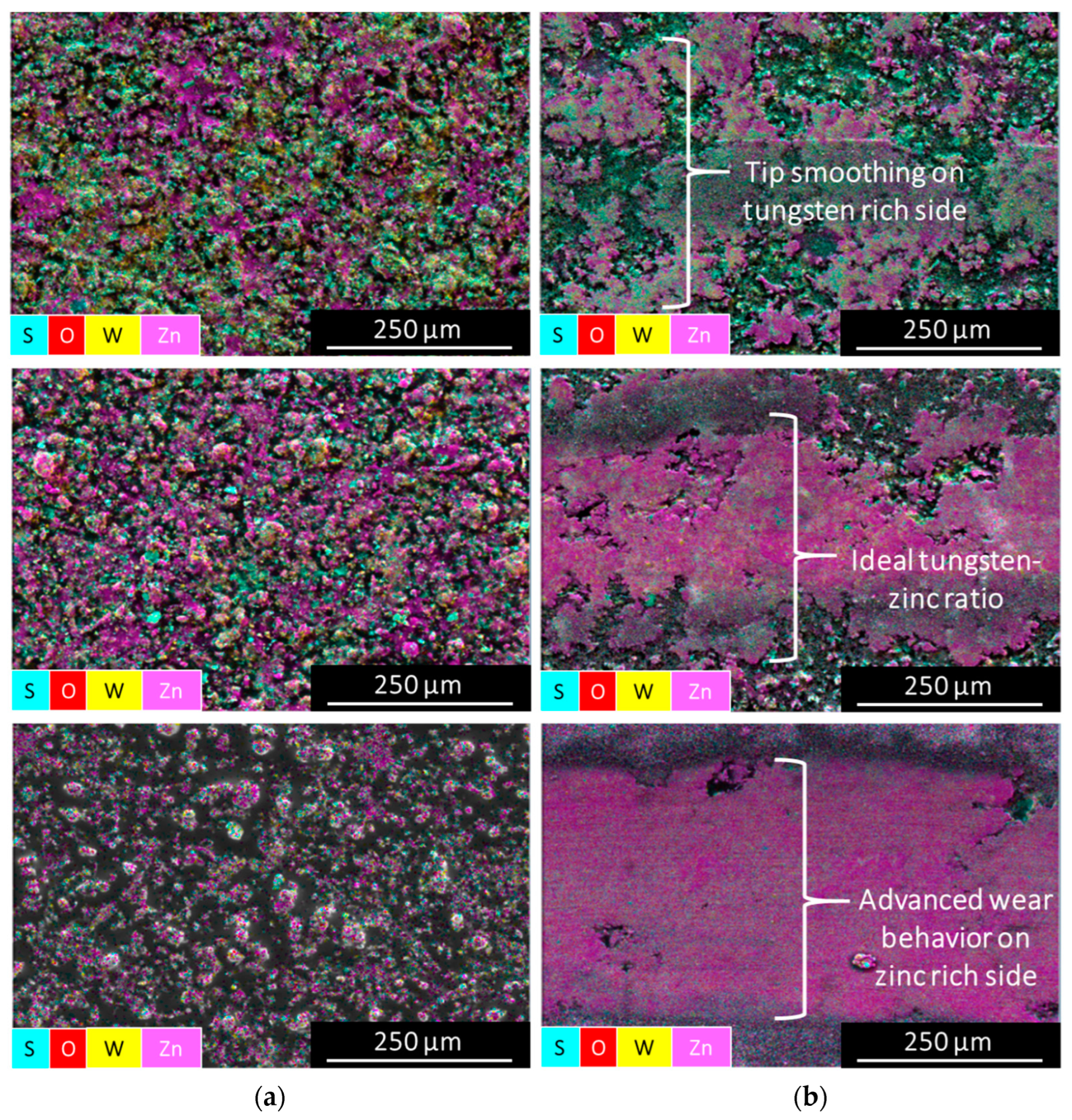 Coatings 14 01365 g009