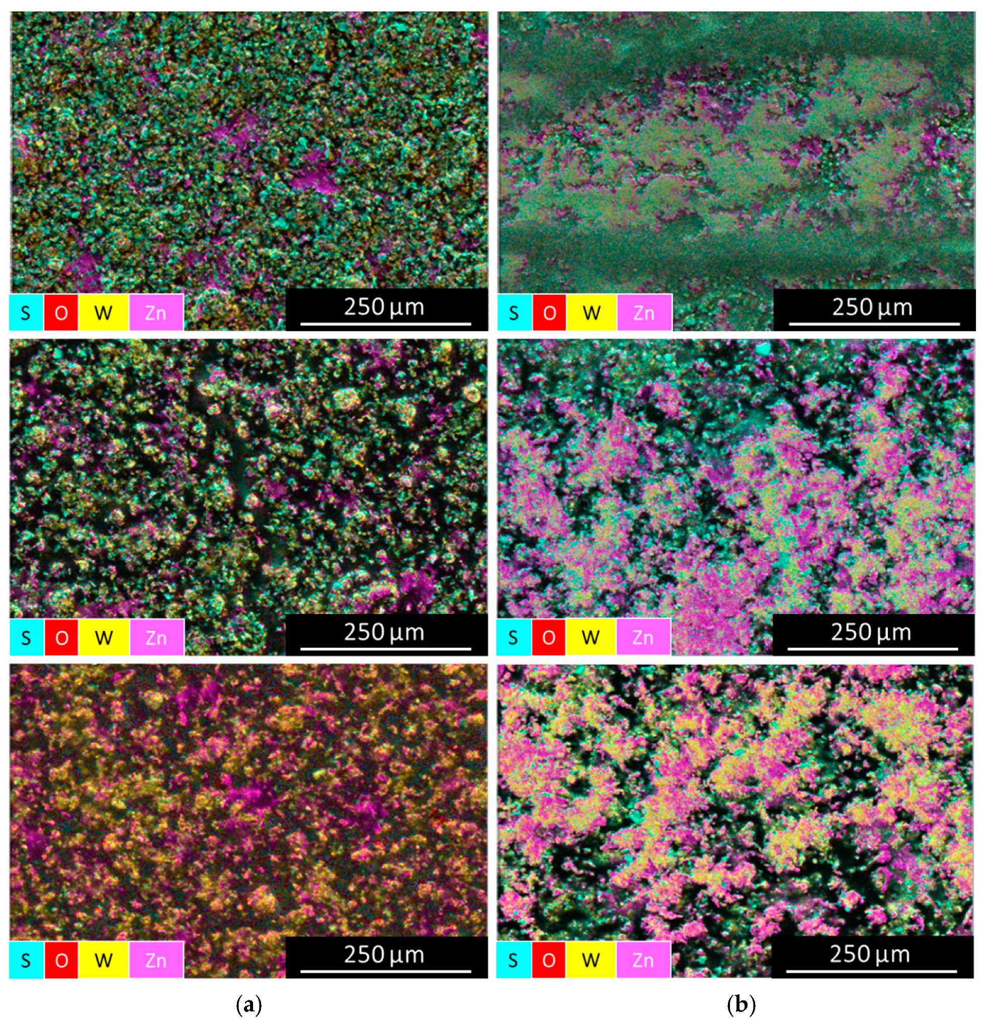 Coatings 14 01365 g011