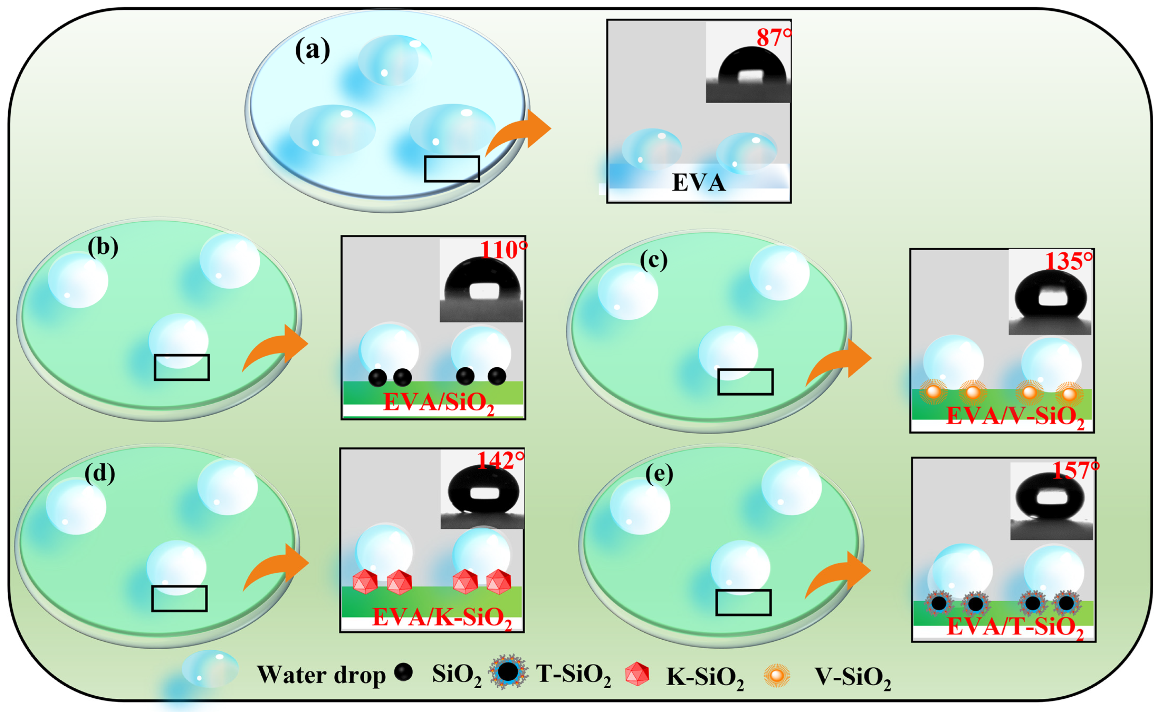 Coatings 14 01375 g008
