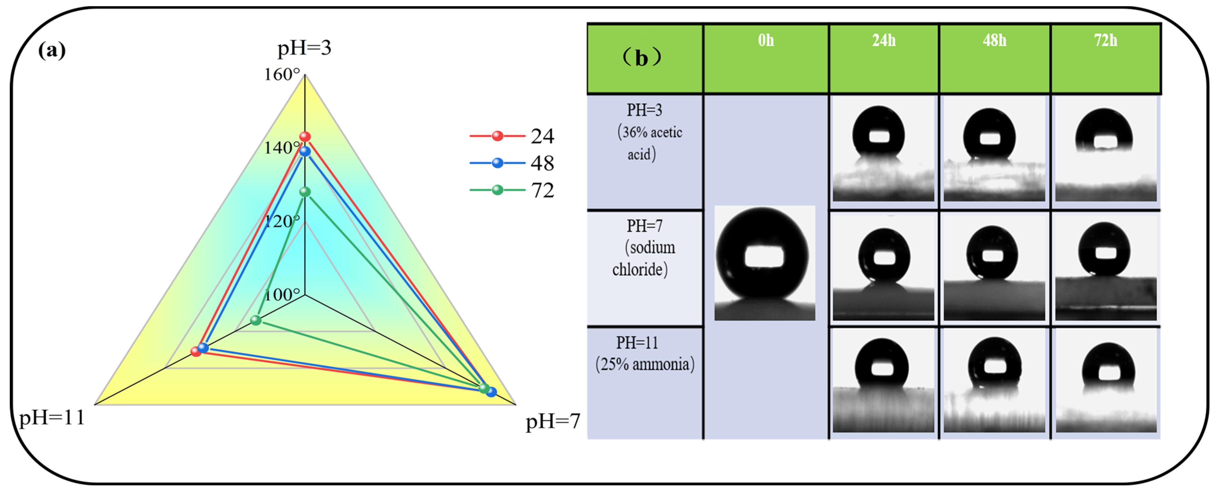Coatings 14 01375 g009