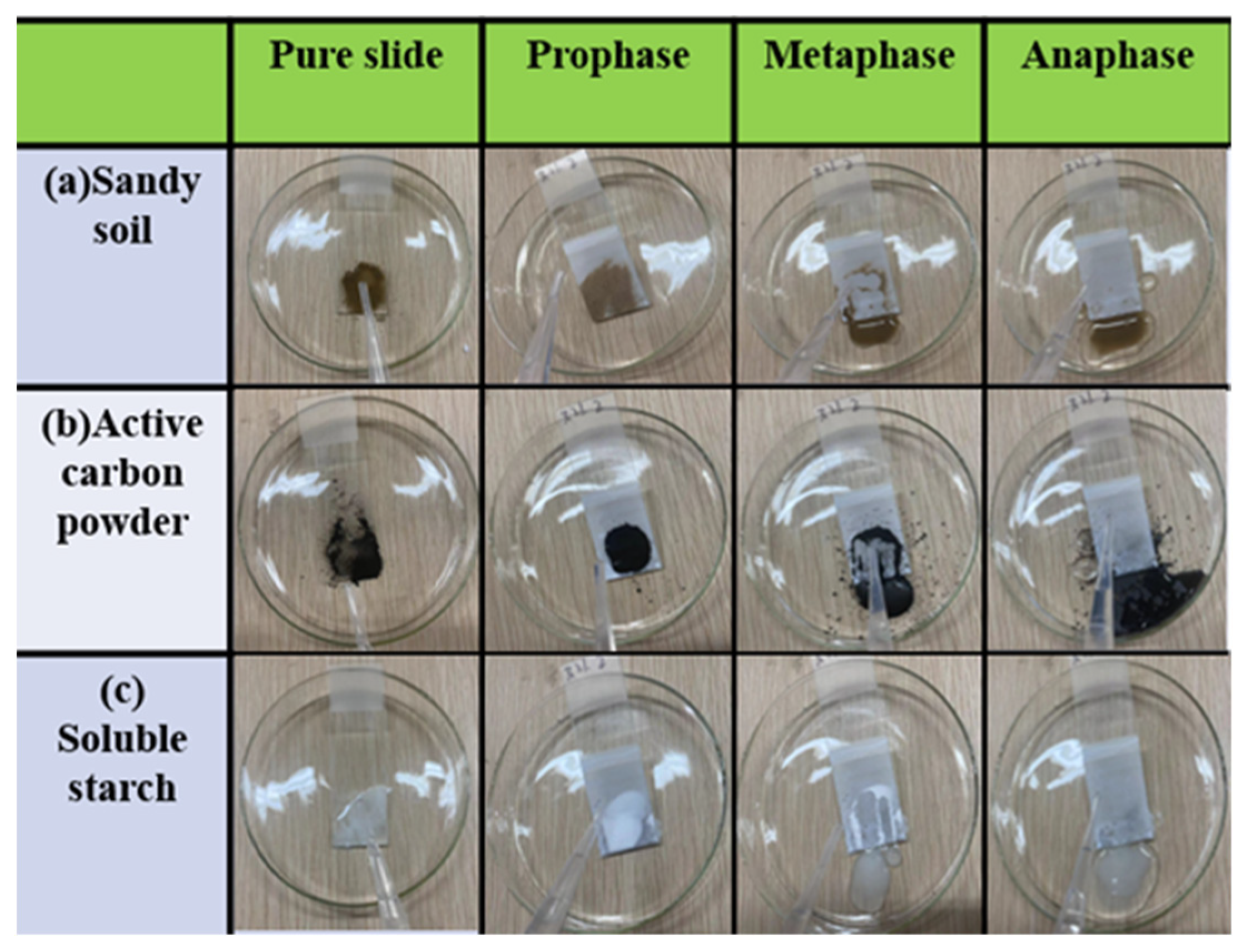 Coatings 14 01375 g011