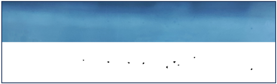 Coatings 14 01376 i002