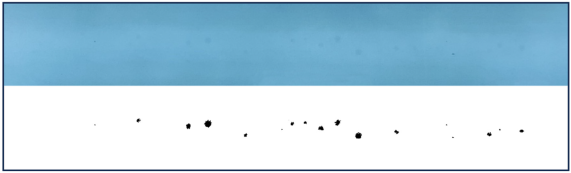 Coatings 14 01376 i003