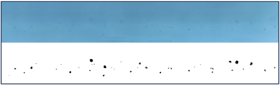 Coatings 14 01376 i004