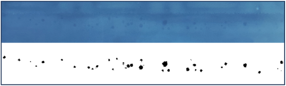 Coatings 14 01376 i006