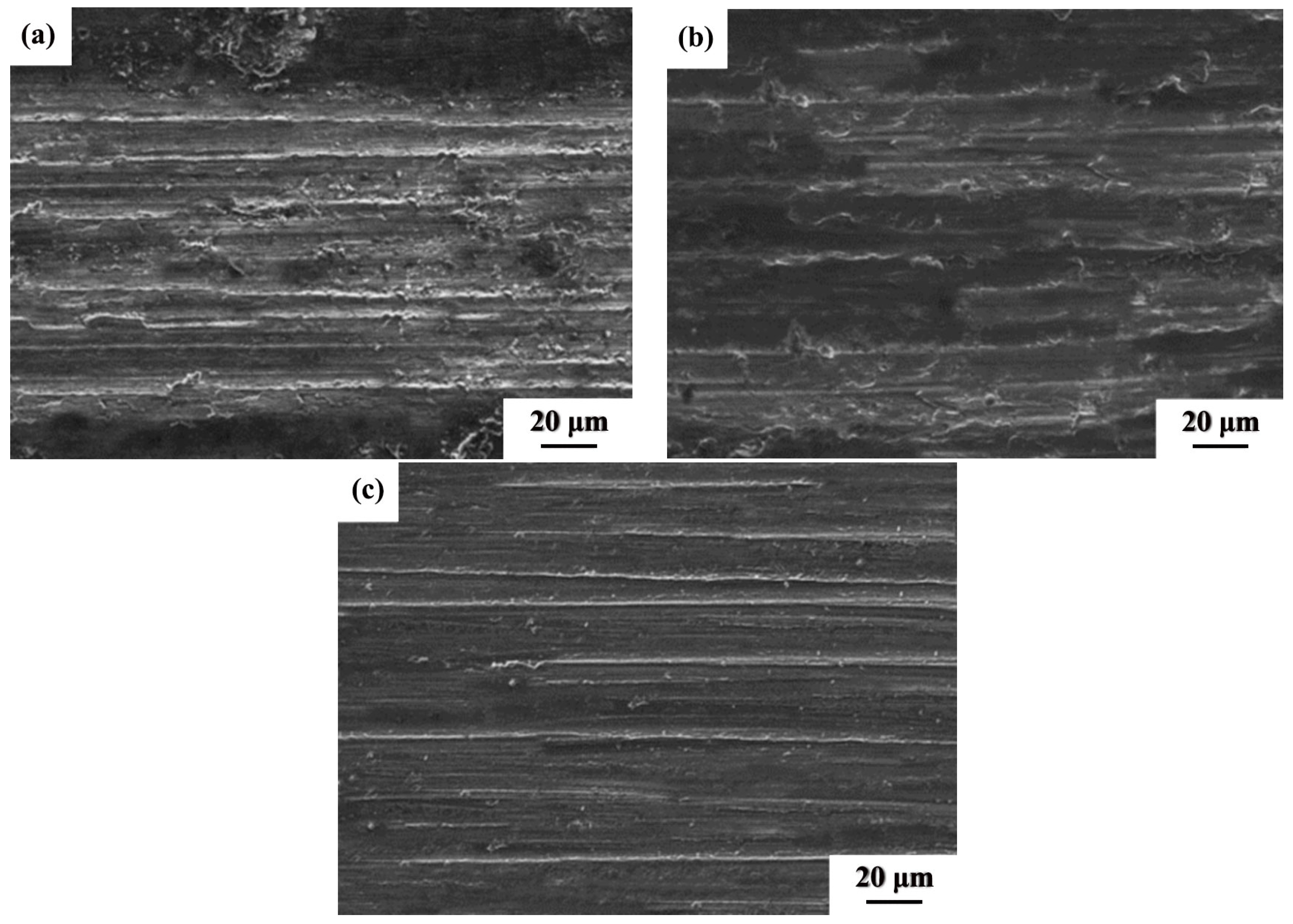 Coatings 14 01384 g008