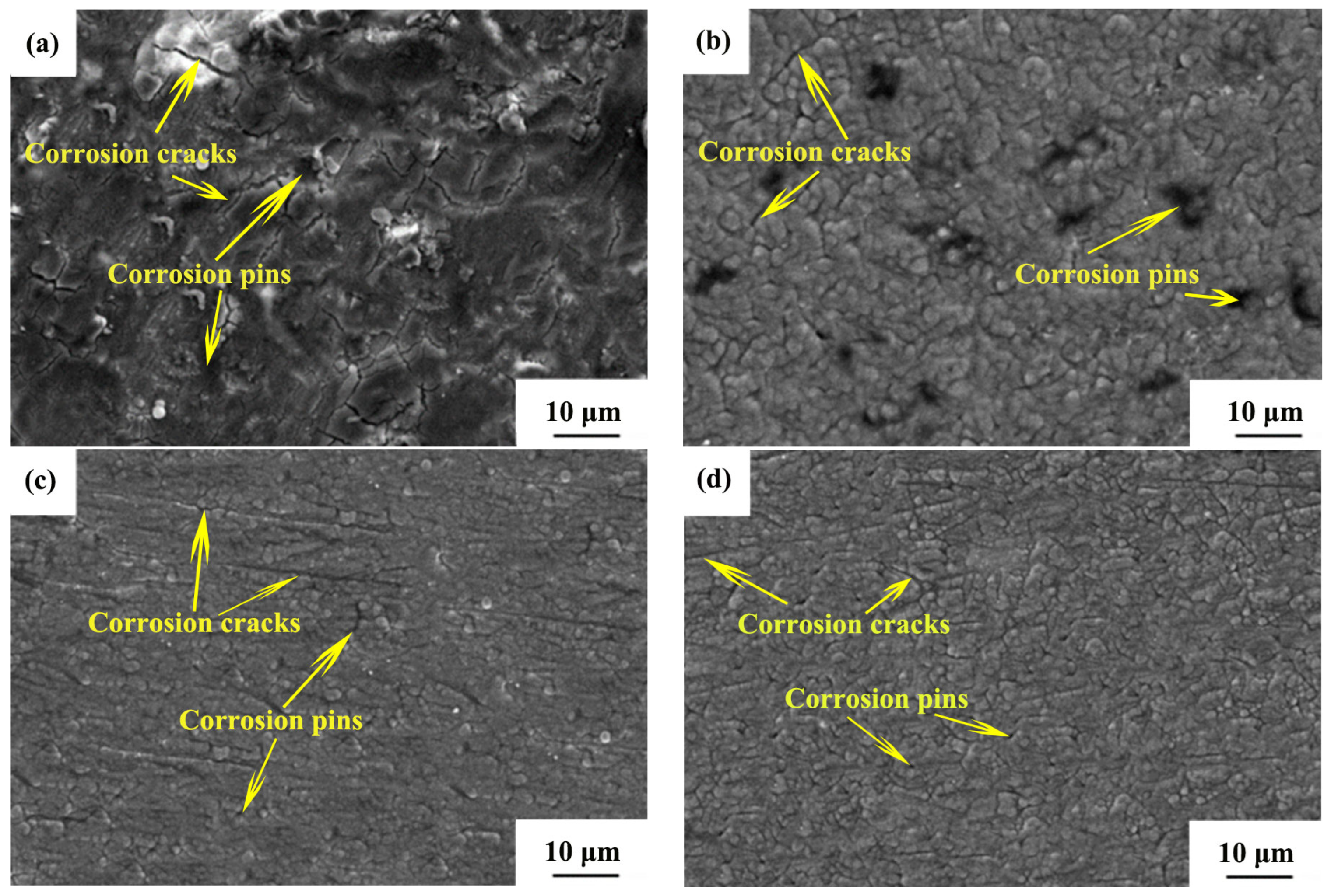 Coatings 14 01384 g010