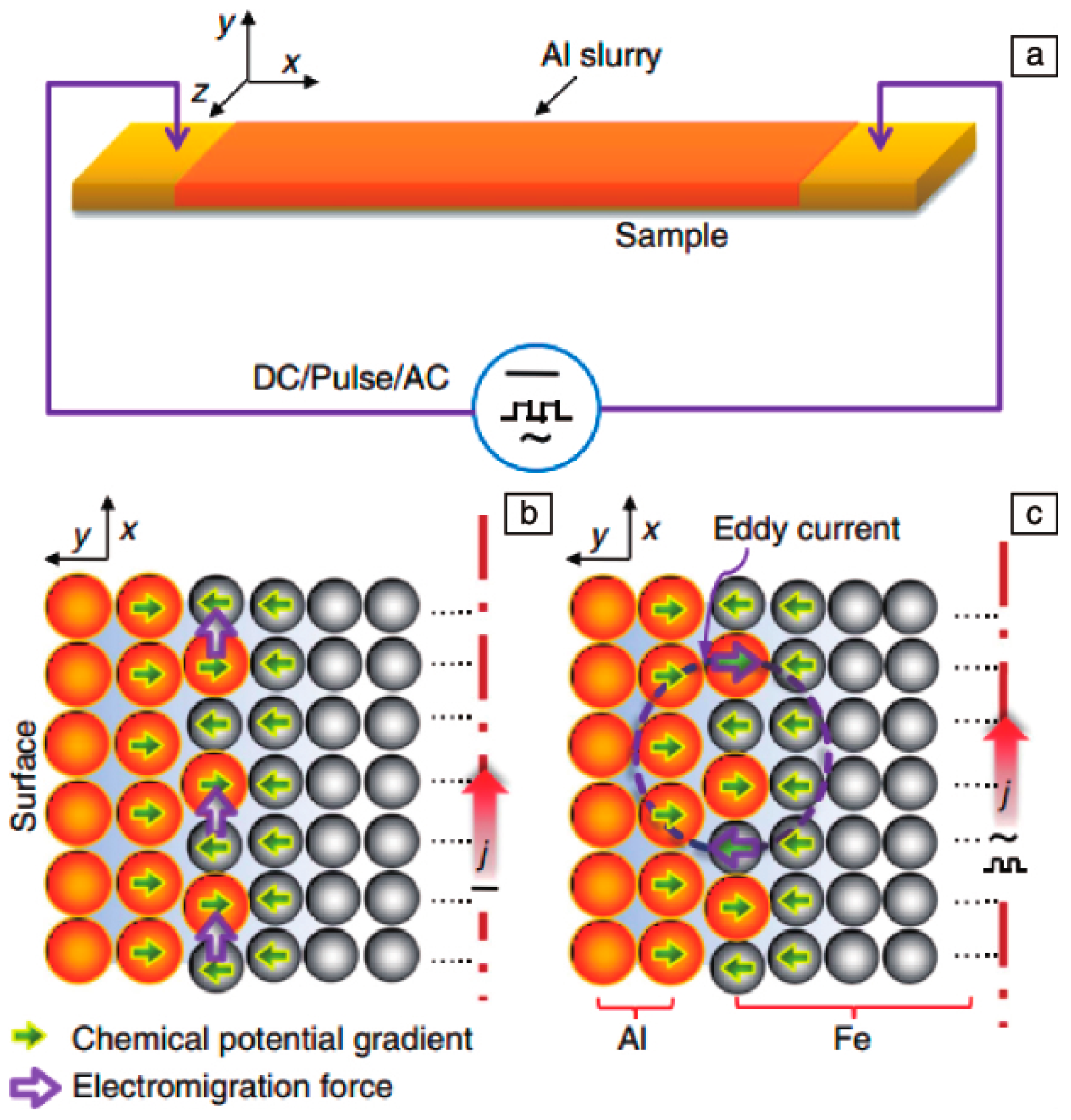 Coatings 14 01391 g009