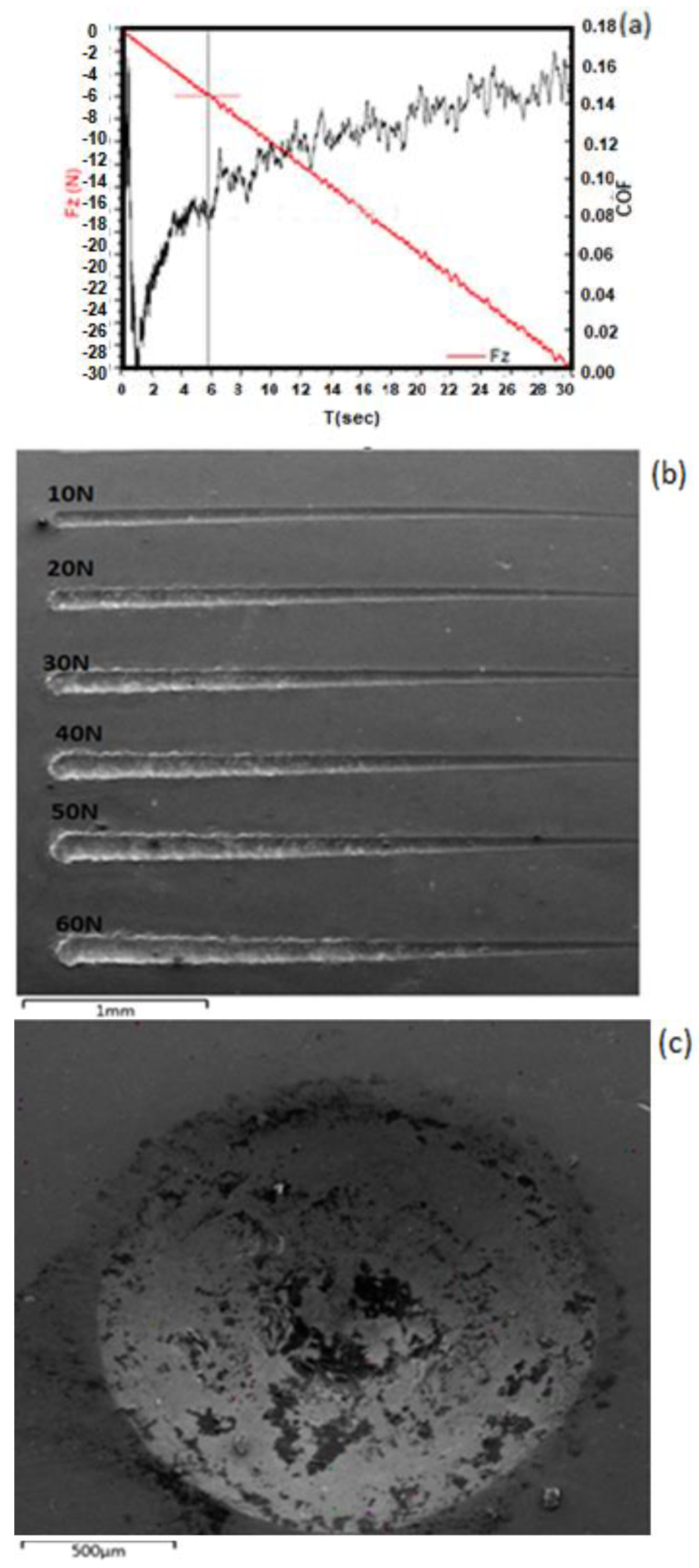 Coatings 14 01393 g008