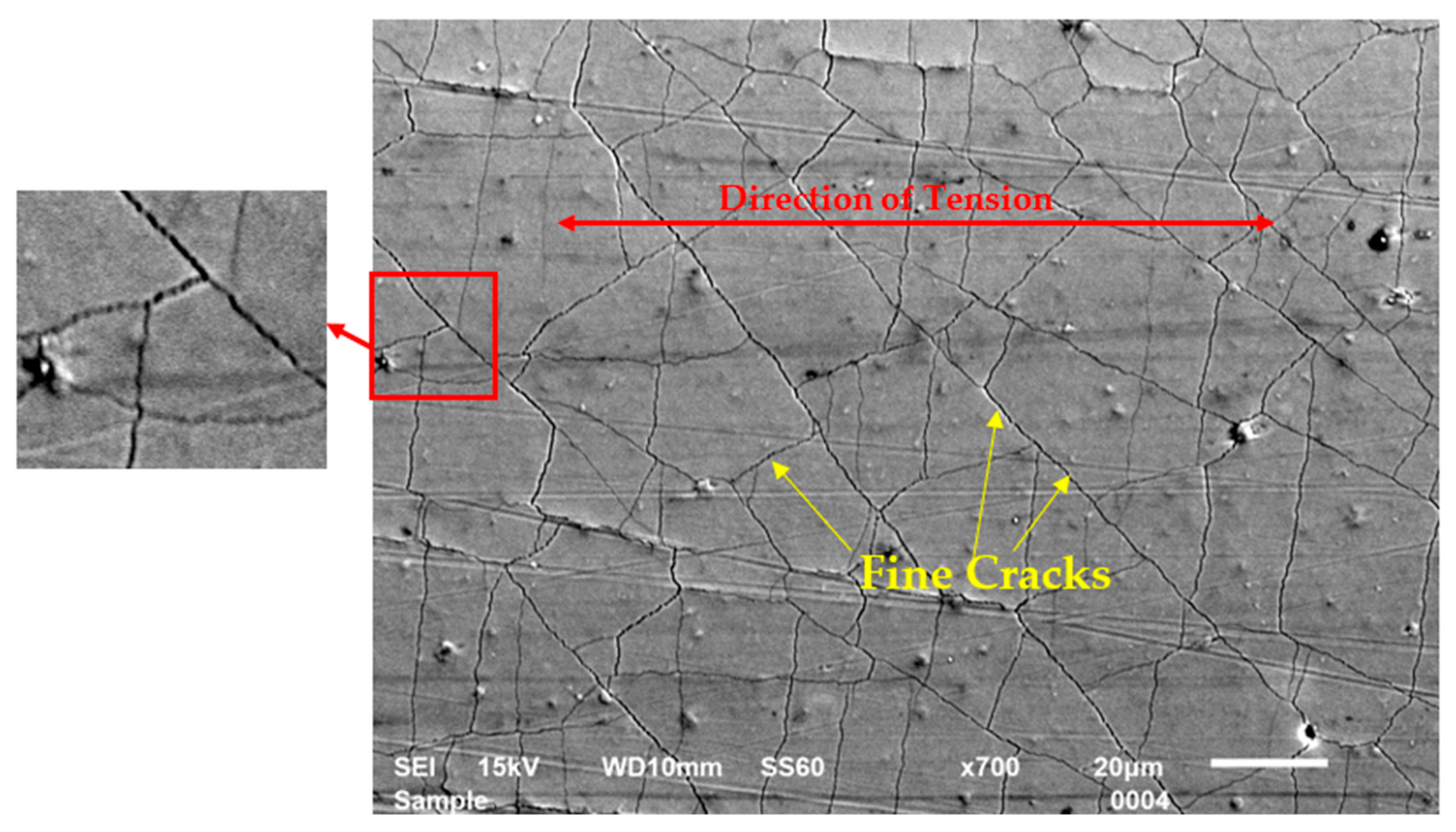 Coatings 14 01403 g002